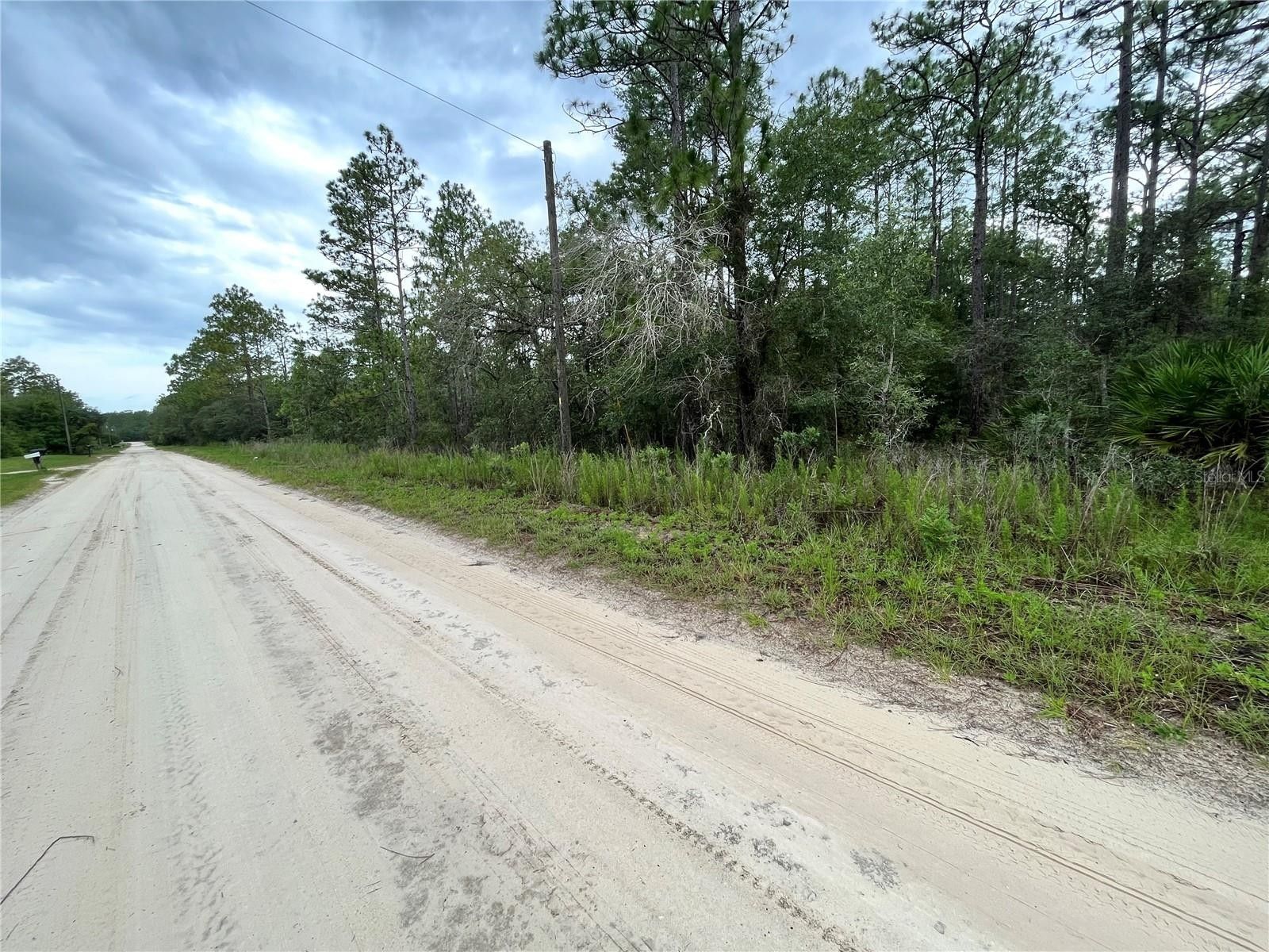 1.04 Acres, 16327 SW 24TH PLACE, Ocala, FL 34481 Land and Farm