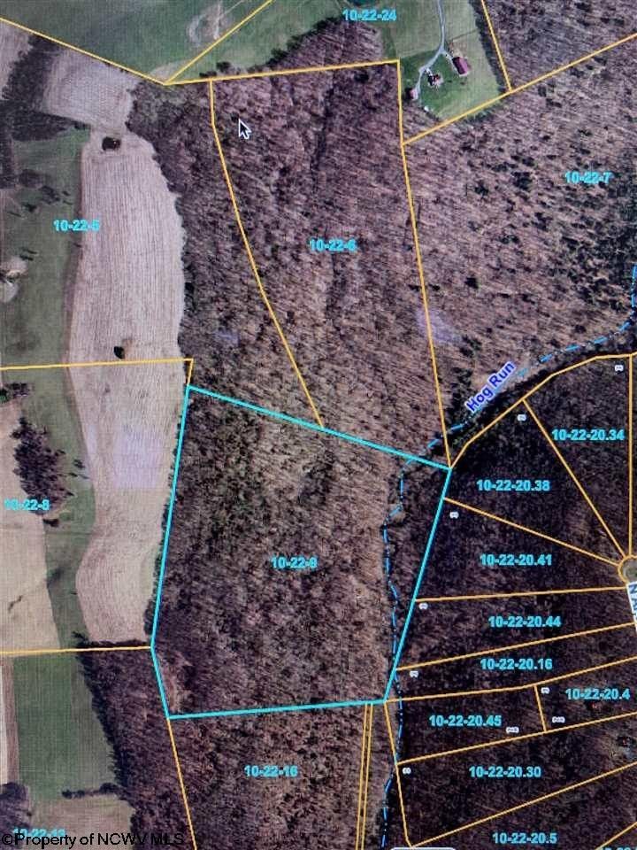 88.63 ACRES MOYERS Road, Bruceton Mills, WV 26525 MLS 10148438