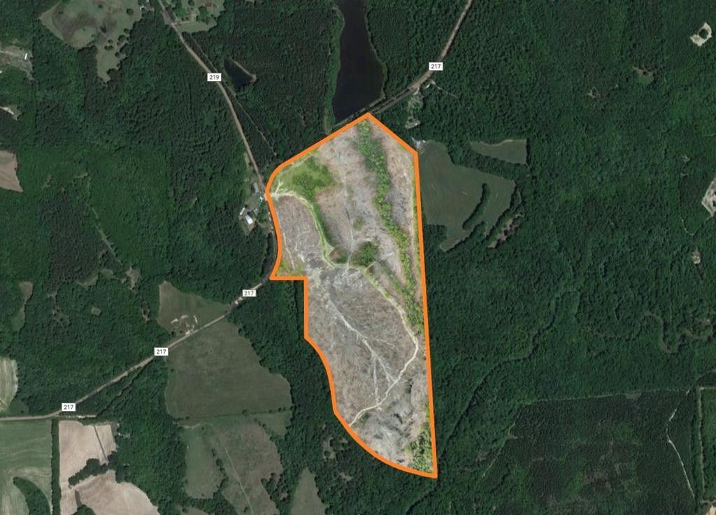 0 217 & 219, Elba, AL 36323 MLS 22890 Land and Farm