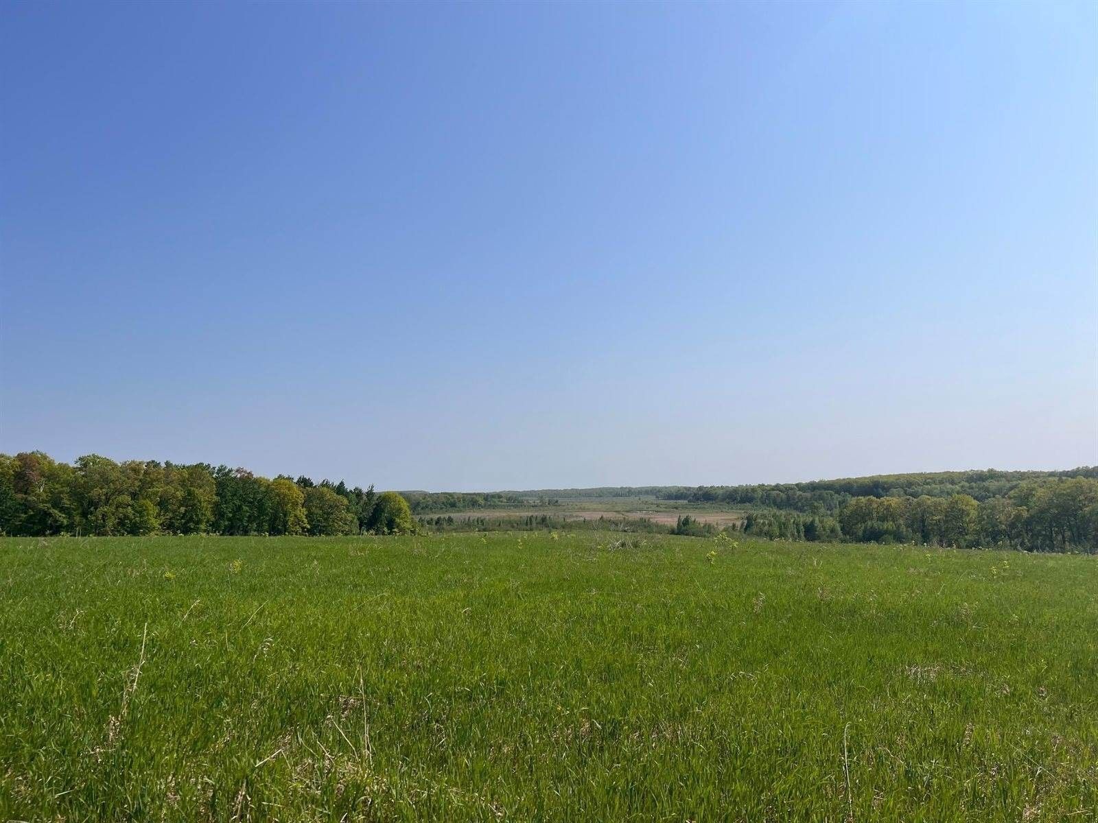 324 Acres, 5400 96th Street SW, Motley, MN 56466 Land and Farm