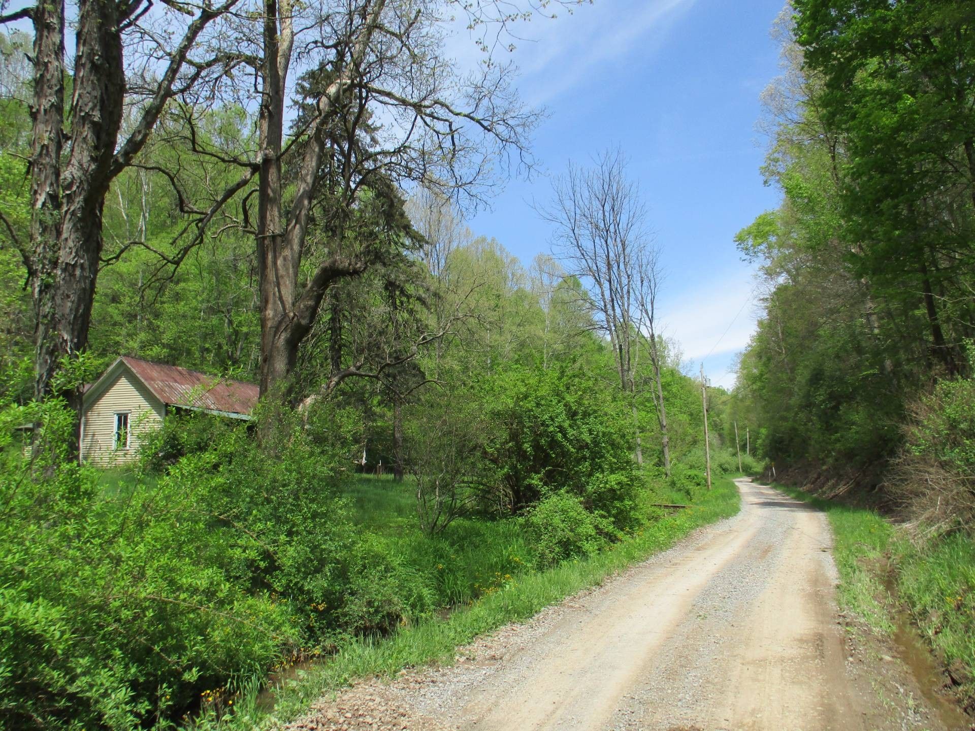 134 Acres, Co Rt 119/2 Messenger, Glenville, WV 26351 Land and Farm