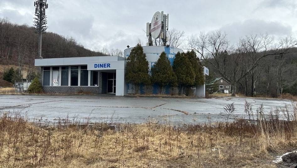 8.65 Acres, 708720 Parksville Road, Parksville, NY 12768 Land and Farm