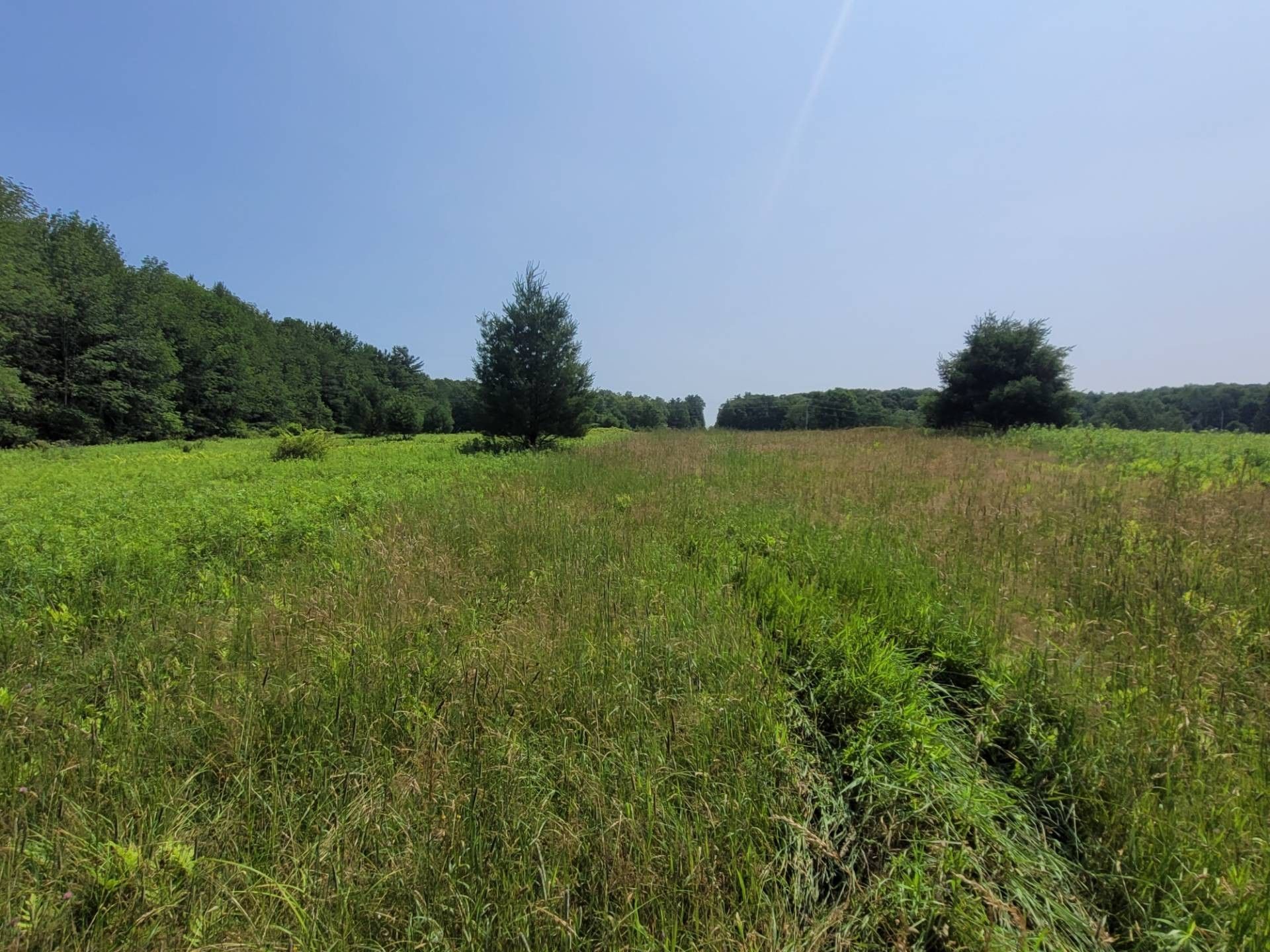 19.21 Acres, 0WP Copes Corners Rd, Butternuts, NY 13843 Land and Farm