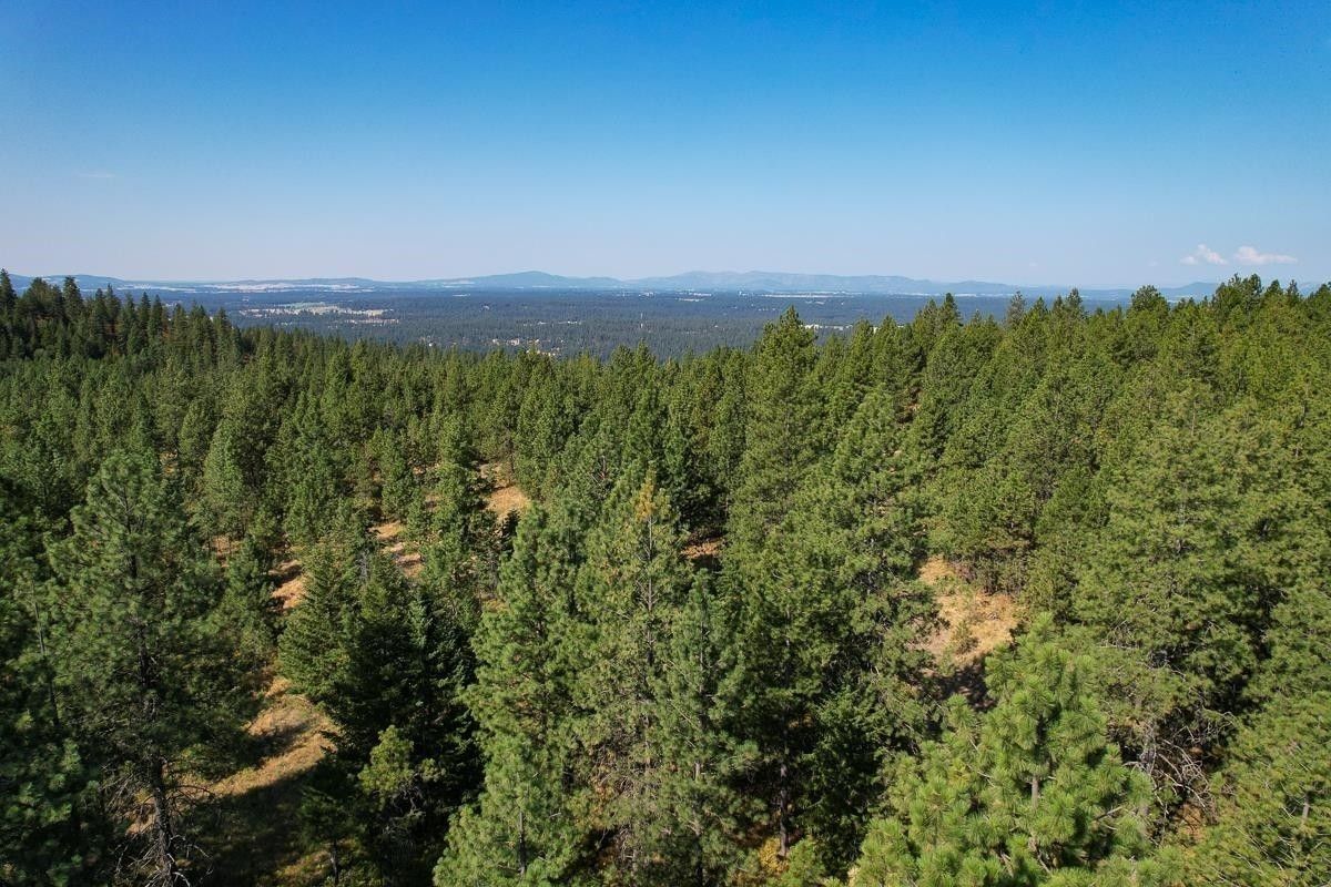 10 Acres, N Waldrons, Chattaroy, WA 99003 Land and Farm