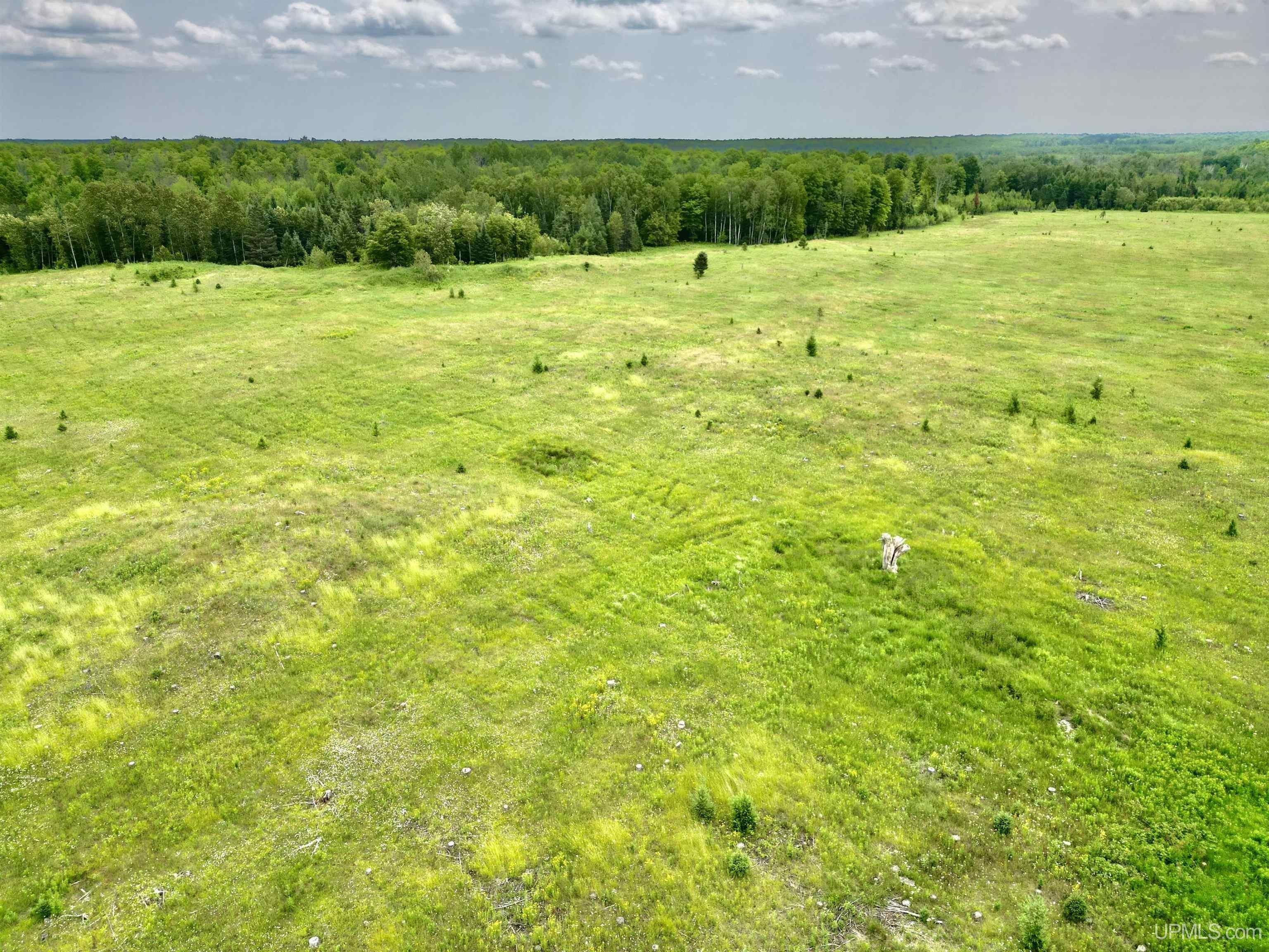 65 Acres, TBD Truax Lane South 1, Cornell, MI 49818 Land and Farm