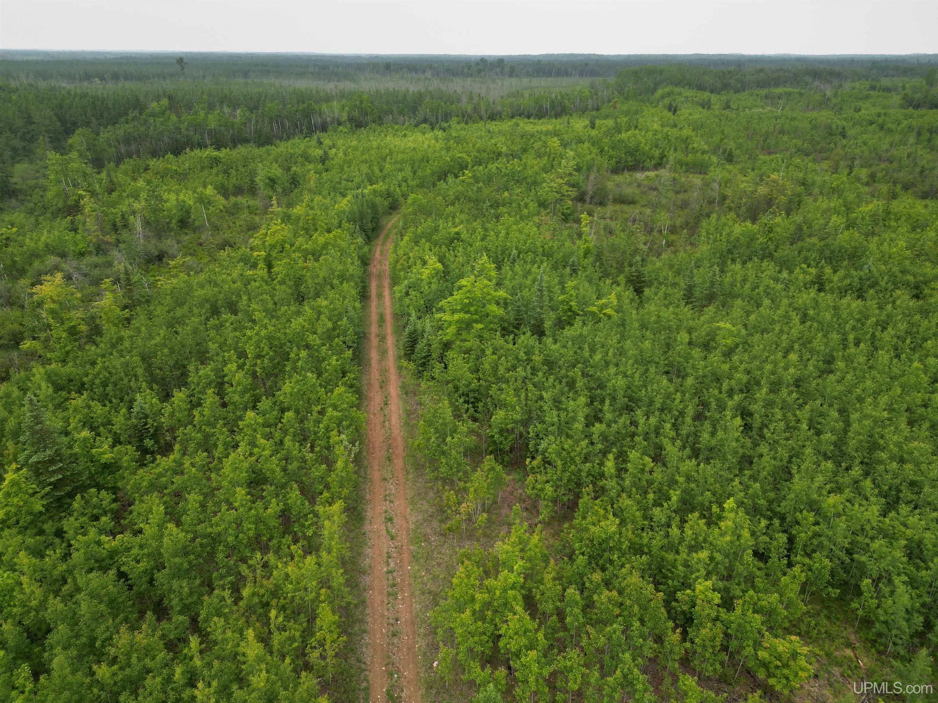 80 Acres, TBD 1 Off 27.5, Gladstone, MI 49837 Land and Farm