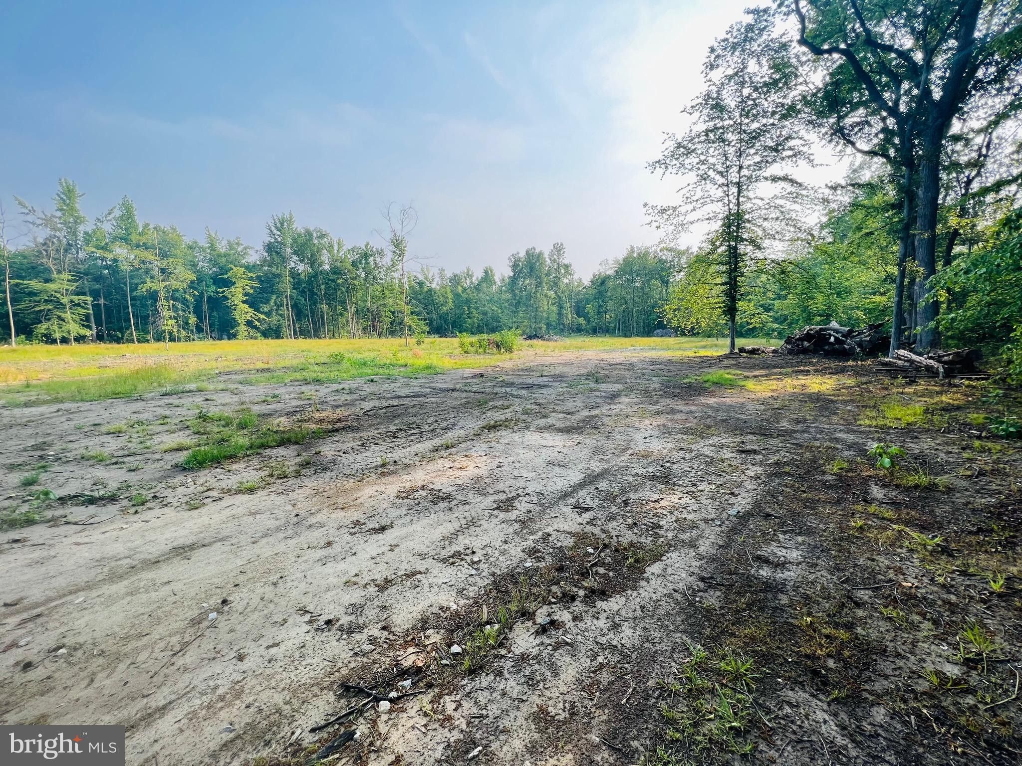 14.29 Acres, 0 LOT 3 DOWNS CHAPEL RD, Clayton, DE 19938 Land and Farm