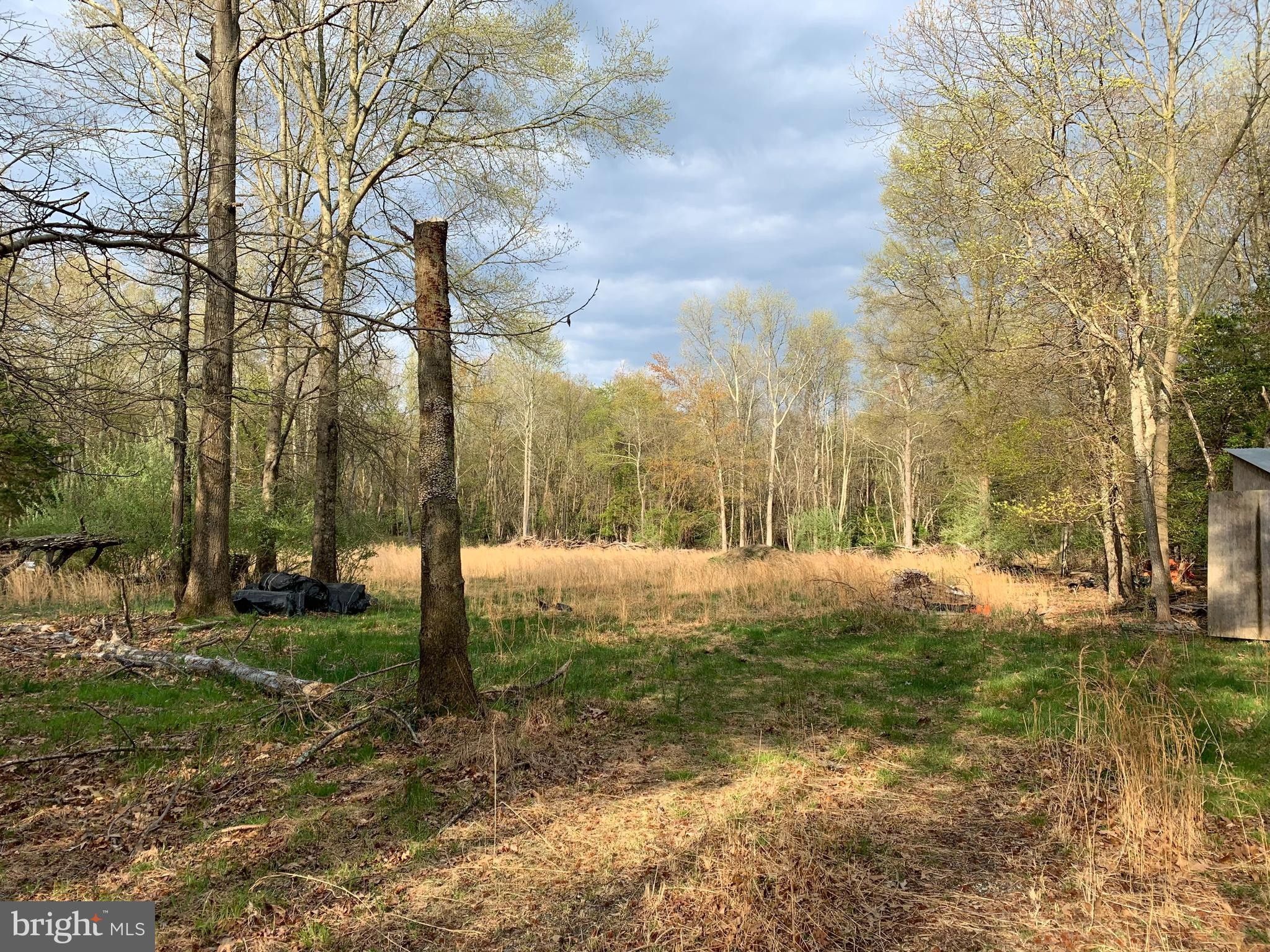 17.32 Acres, 0000 BLUEBELL, Williamstown, NJ 08094 Land and Farm