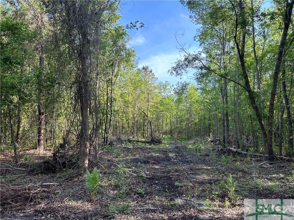 2 Acres, 3995 Lot 3 Lewis Frasier Road, Midway, GA 31320 Land and Farm