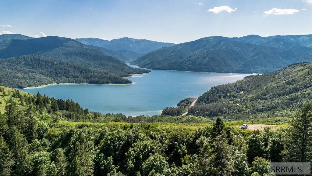 20 Acres, 20 Acres Shady Lane, Irwin, ID 83428 Land and Farm