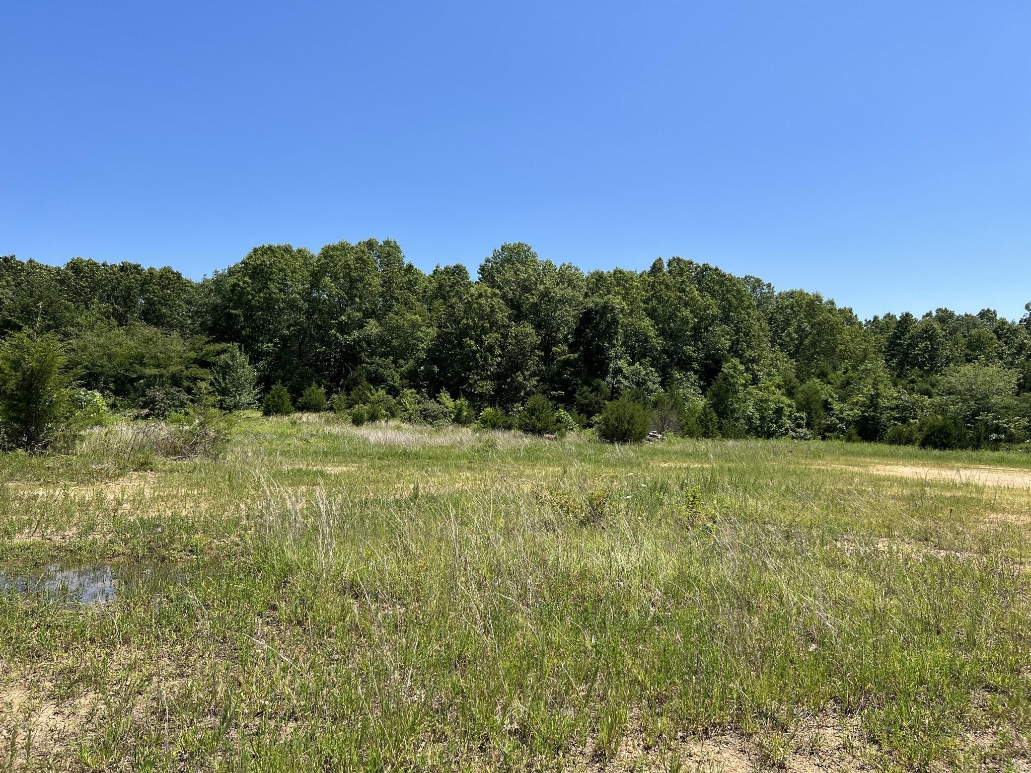 36 Acres, Rt1 Bx2525 State Highway W, Dora, MO 65637 Land and Farm