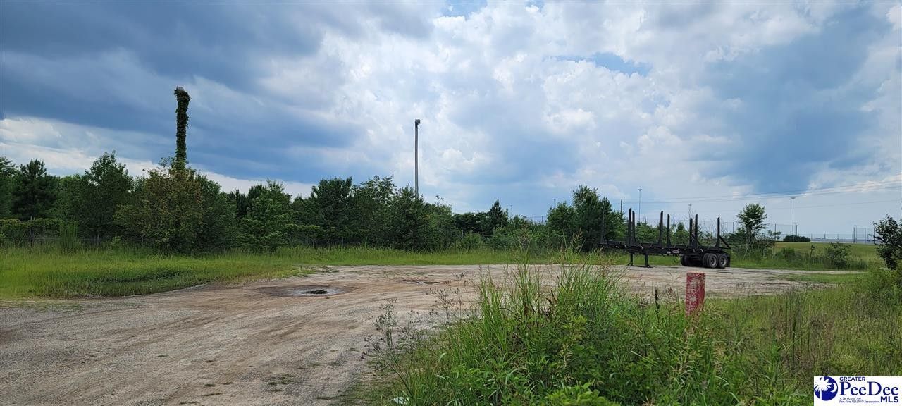 5.95 Acres, TBD Hwy 9, SC 29512 Land and Farm