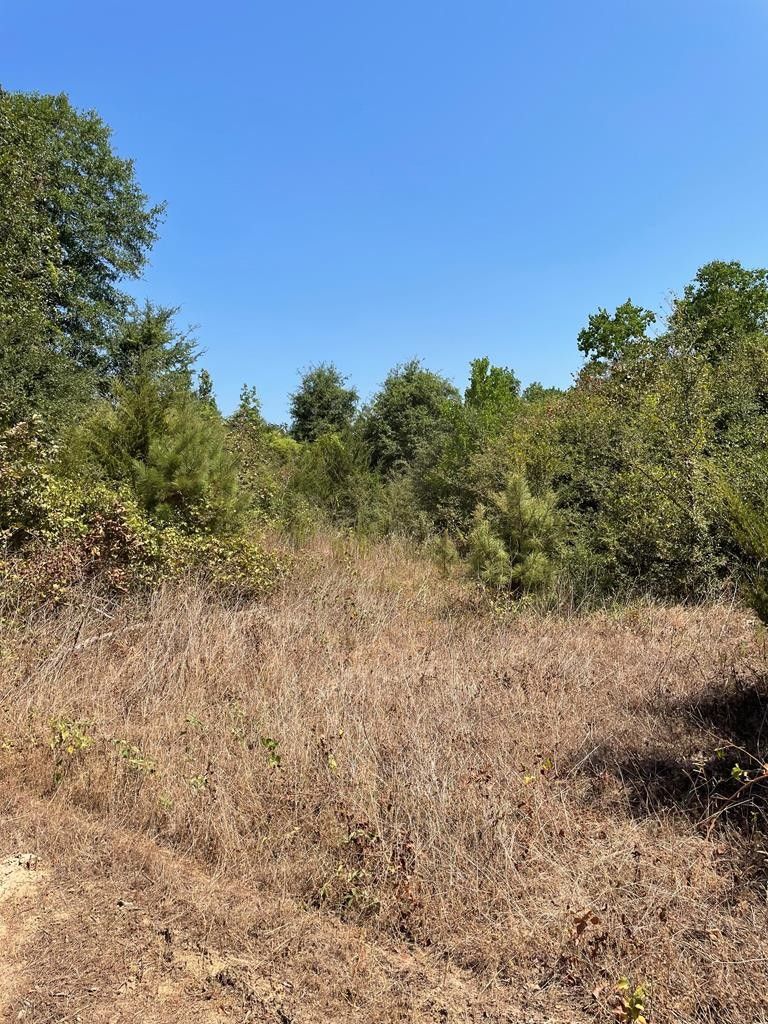 157.07 Acres, 0000 3169, Joaquin, TX 75954 Land and Farm