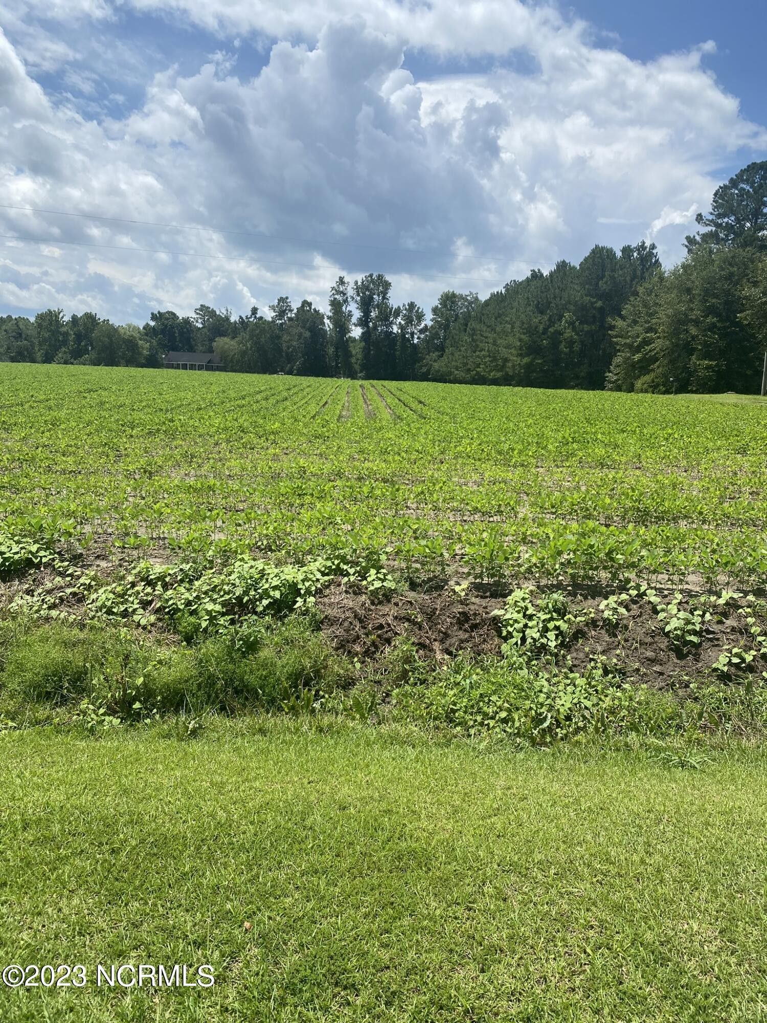 1.49 Acres, Near 2459 Peanut Worley Road, Cerro Gordo, NC 28430 Land