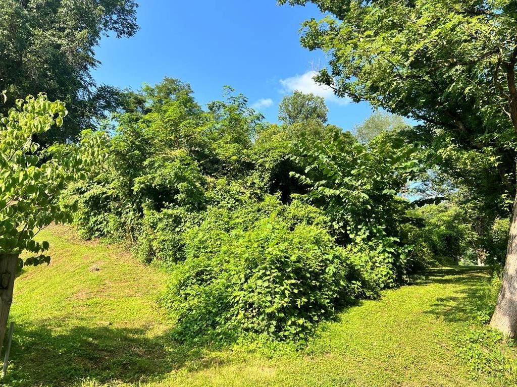 0.29 Acres, 21 David St. Branham Heights, Pikeville, KY 41501 Land