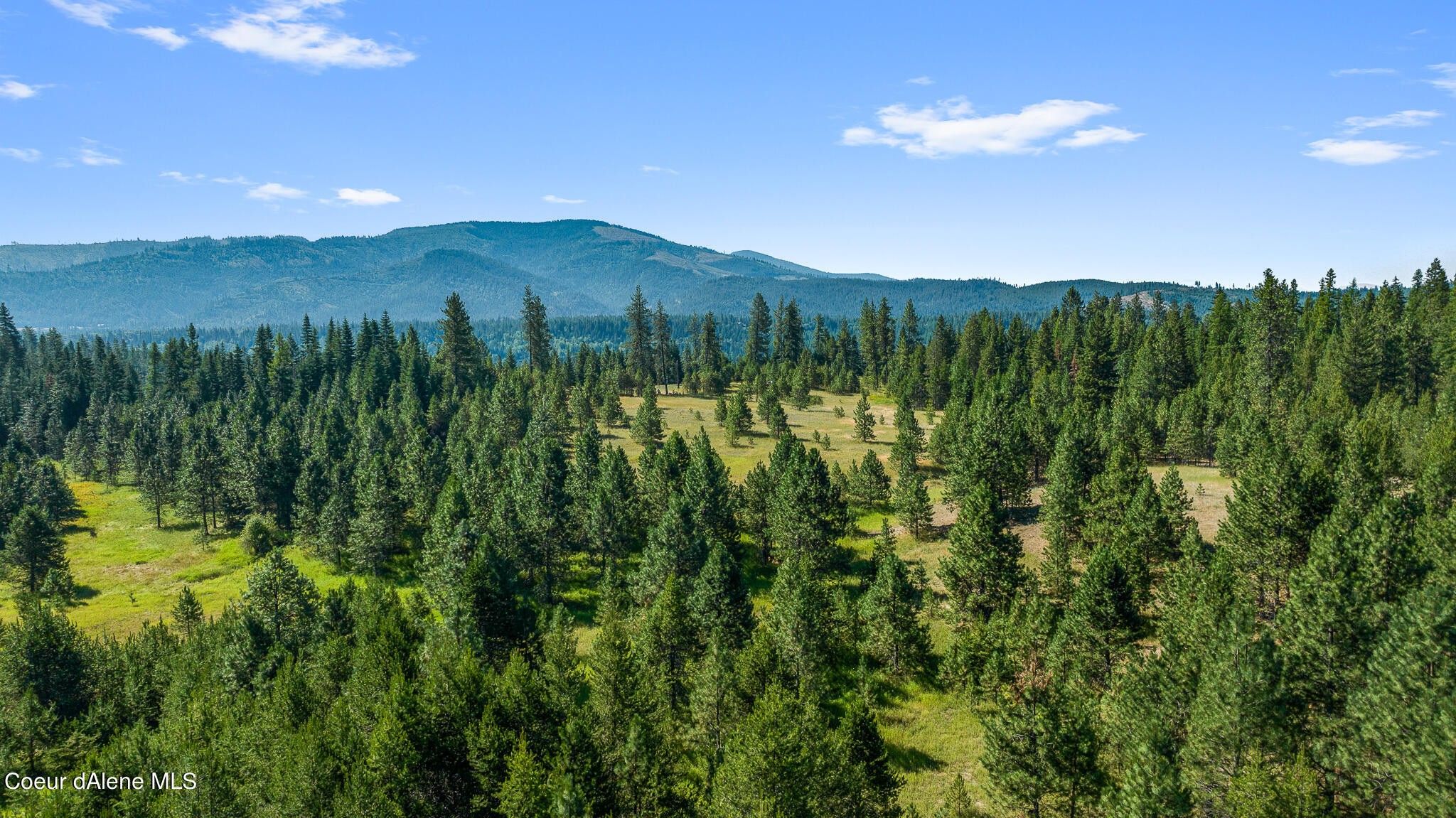 140.03 Acres, 3907 Hwy 2, Priest River, ID 83856 Land and Farm