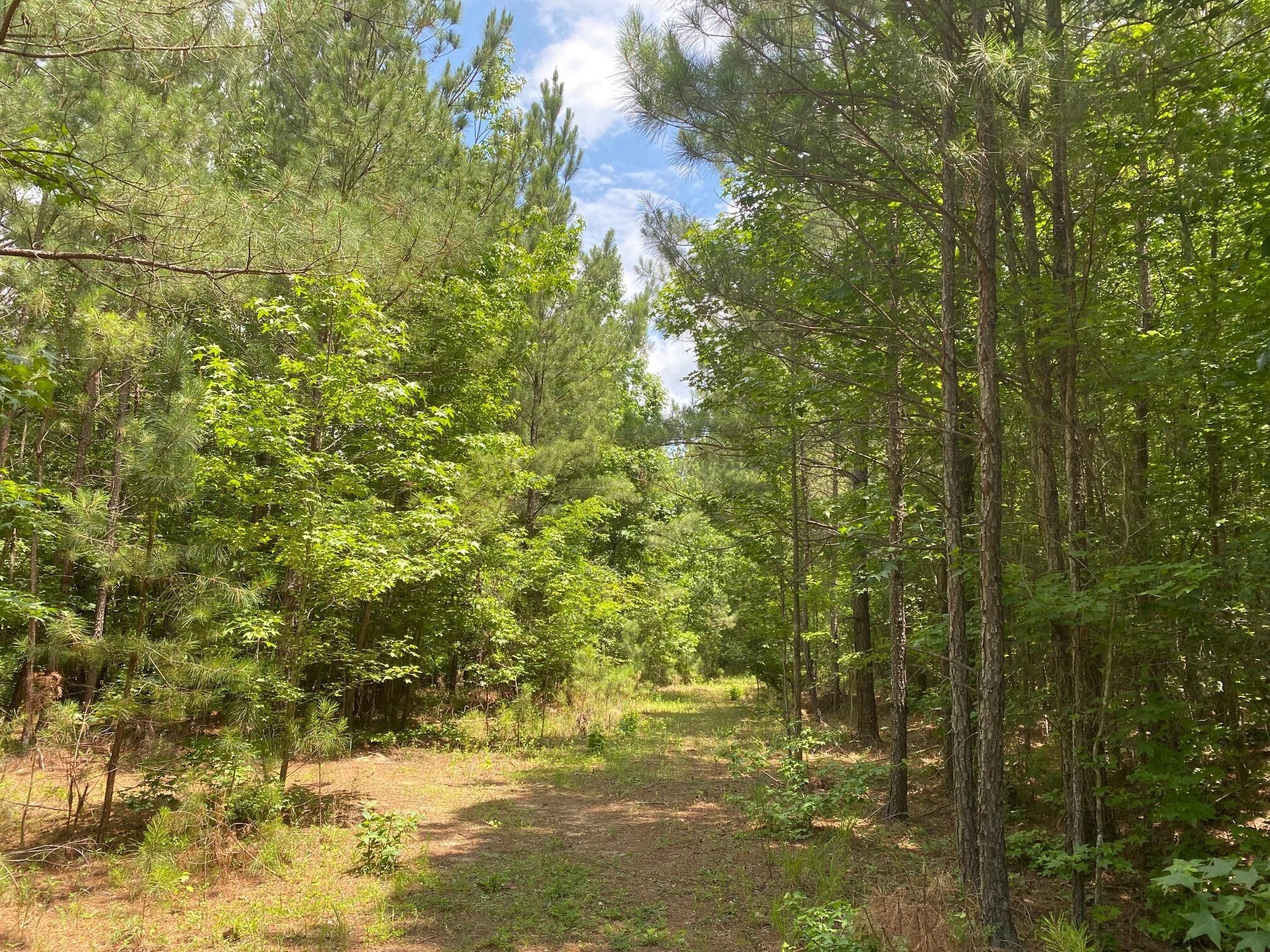 0 Moore Road, Edgefield, SC 29824 MLS 207457 Land and Farm