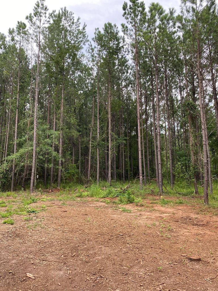 5.2 Acres, 175 Glen Harper, Sparta, GA 31087 Land and Farm
