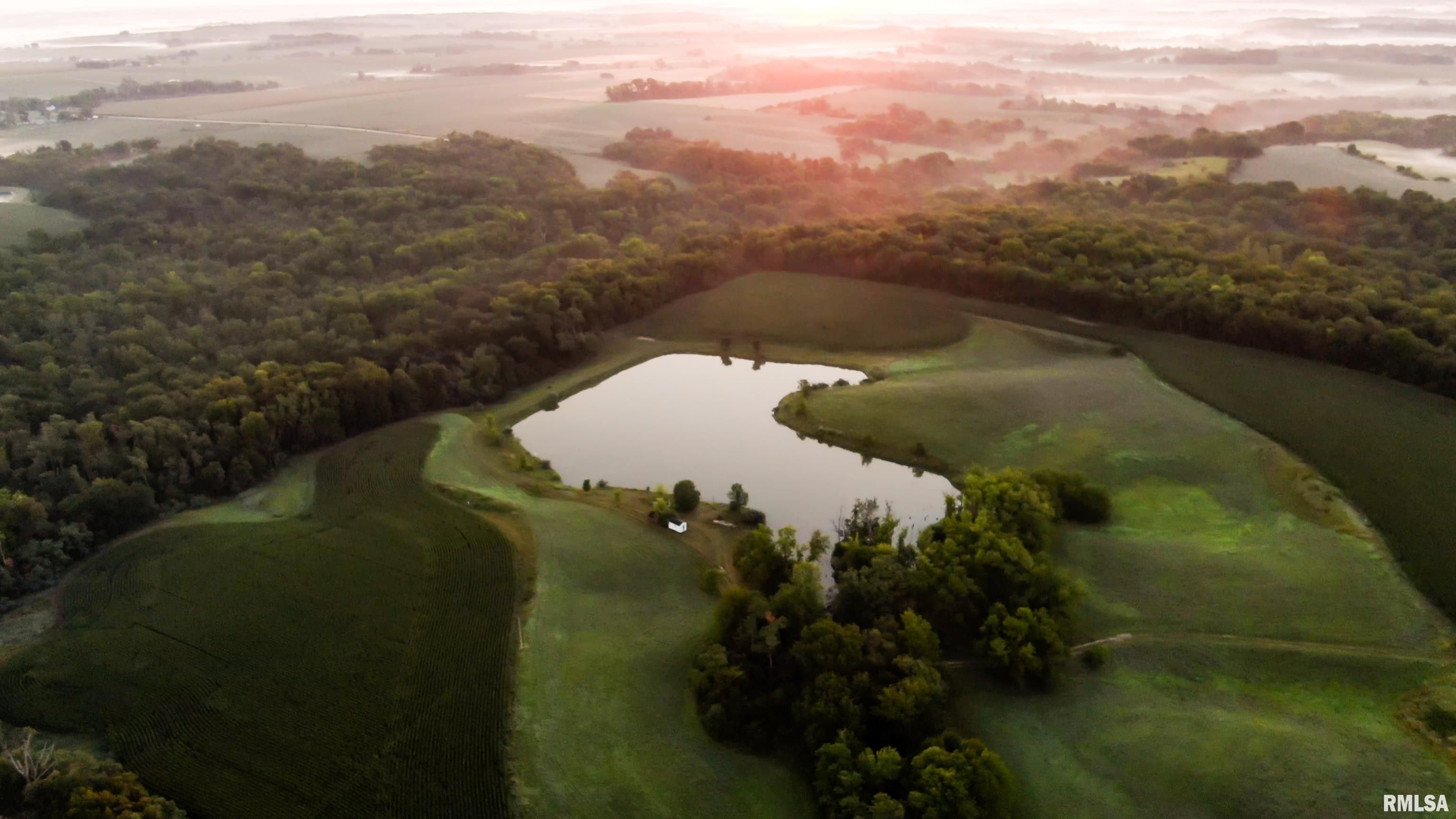 42.08 Acres, 000 Knox Rd 100 N Road, London Mills, IL 61544 Land and Farm
