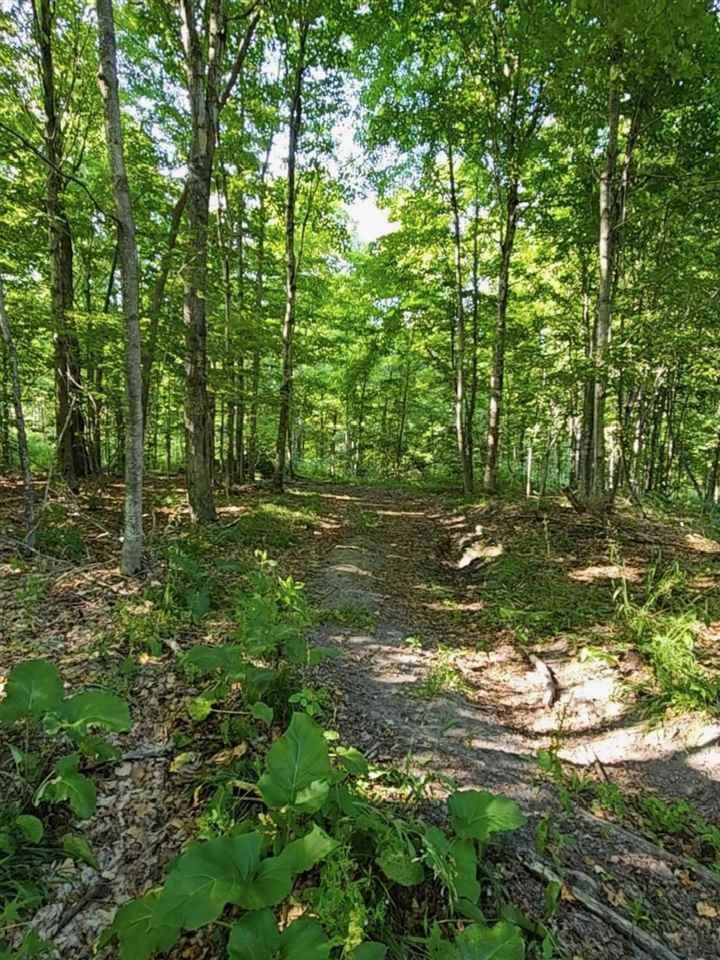 10 Acres, 0 FOXBORO, Pellston, MI 49769 Land and Farm