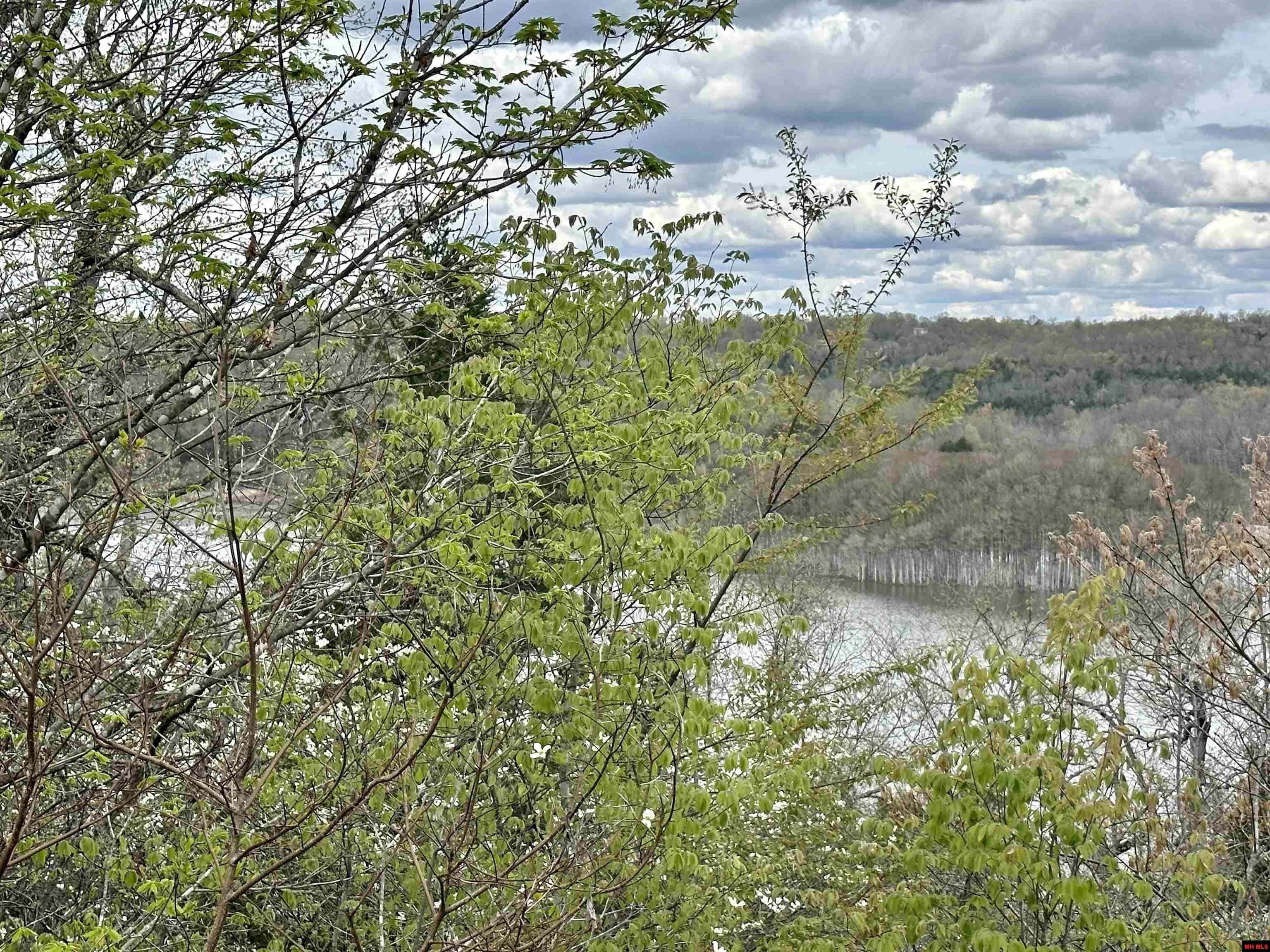 0.3 Acres, 00206040000 LAKEVIEW DRIVE, Mountain Home, AR 72653 Land