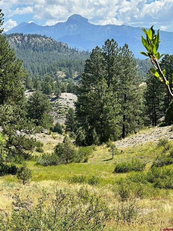 4.77 Acres, 98 Tiffany Place, Pagosa Springs, CO 81147 Land and Farm