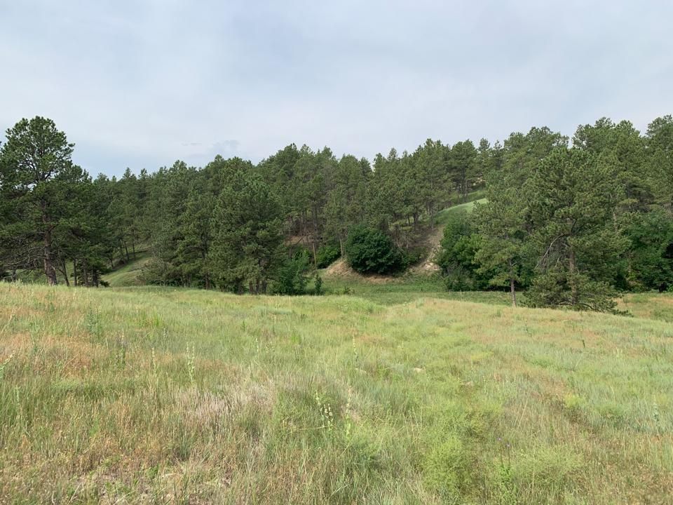 160 acres in Wounded Knee, SD, 57794 Land and Farm