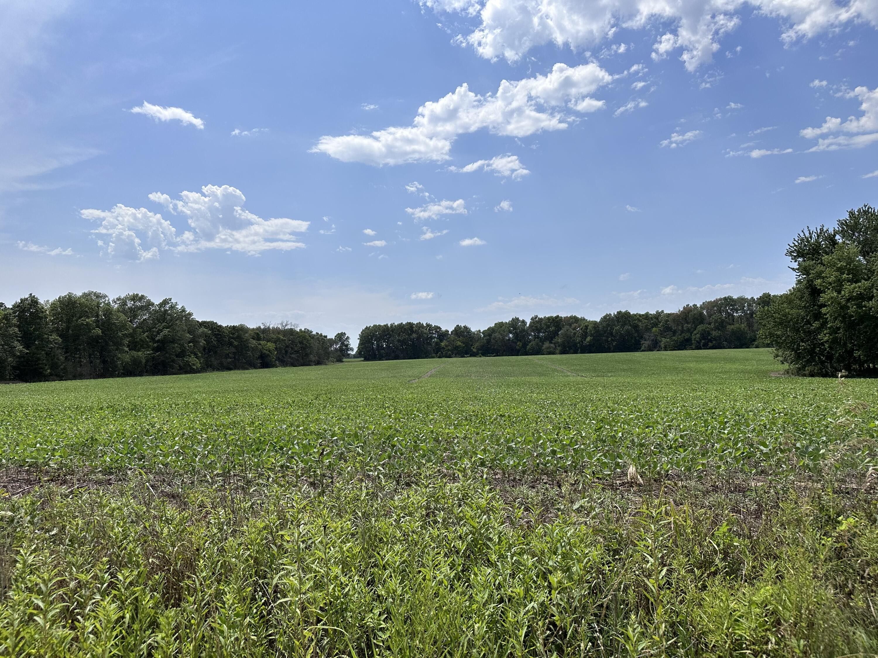 80 Acres, 000 2500 Rd Road, Milo, MO 64767 Land and Farm
