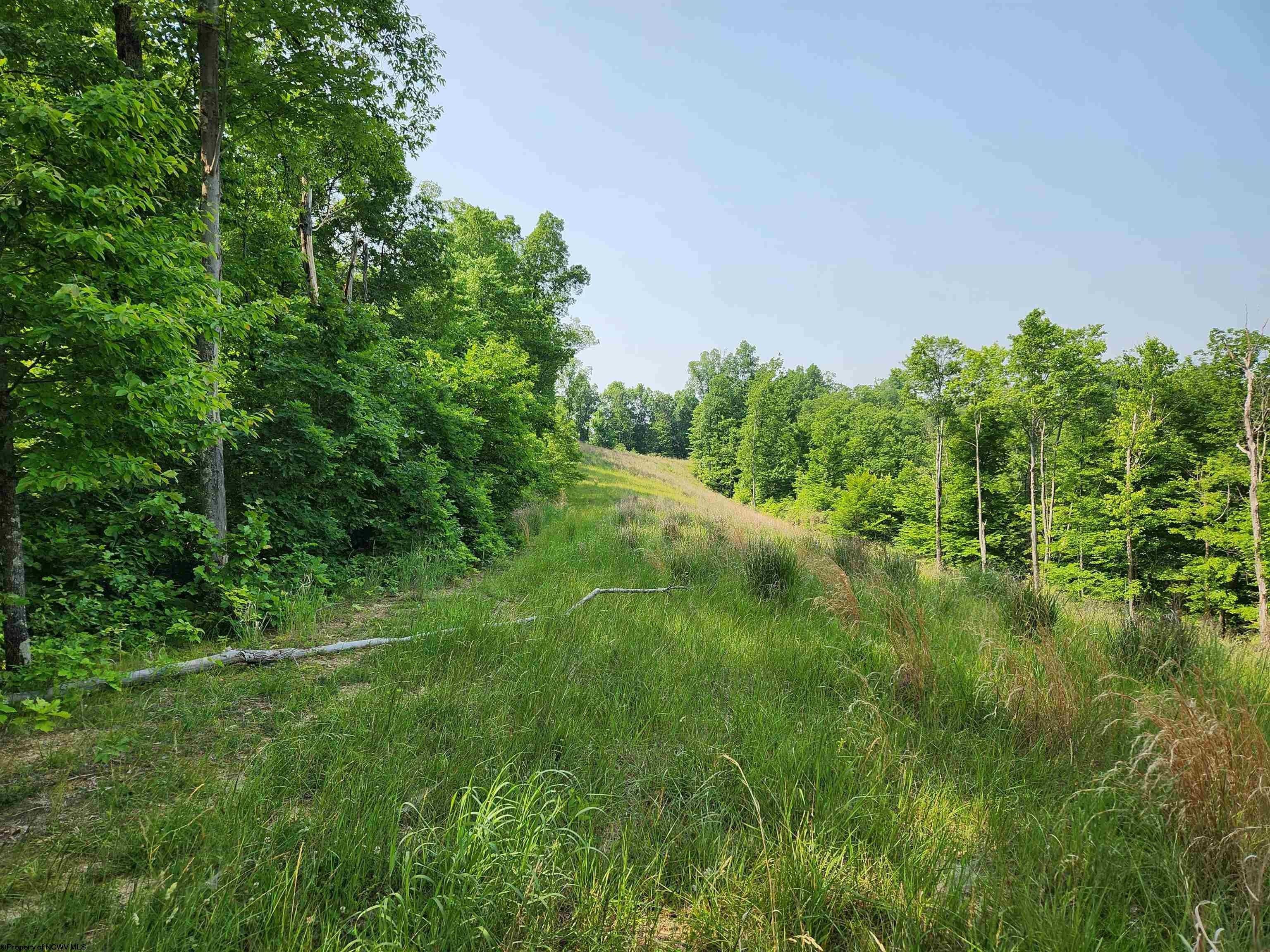 203 Acres, TBD Murphy Creek Road, Weston, WV 26452 Land and Farm