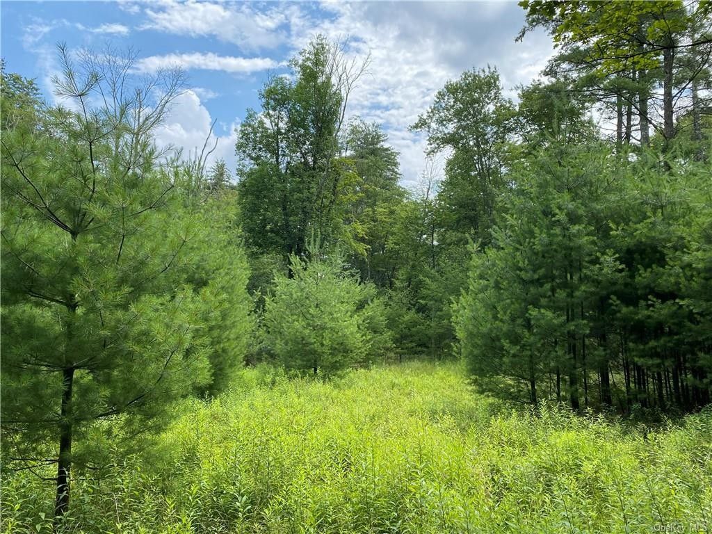 1.38 Acres, Pine Grove Road, Bethel, NY 12778 Land and Farm
