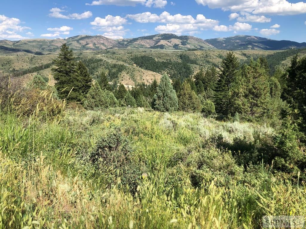 2.7 Acres, Lot 22c Deer Creek, Lava Hot Springs, ID 83246 Land and Farm