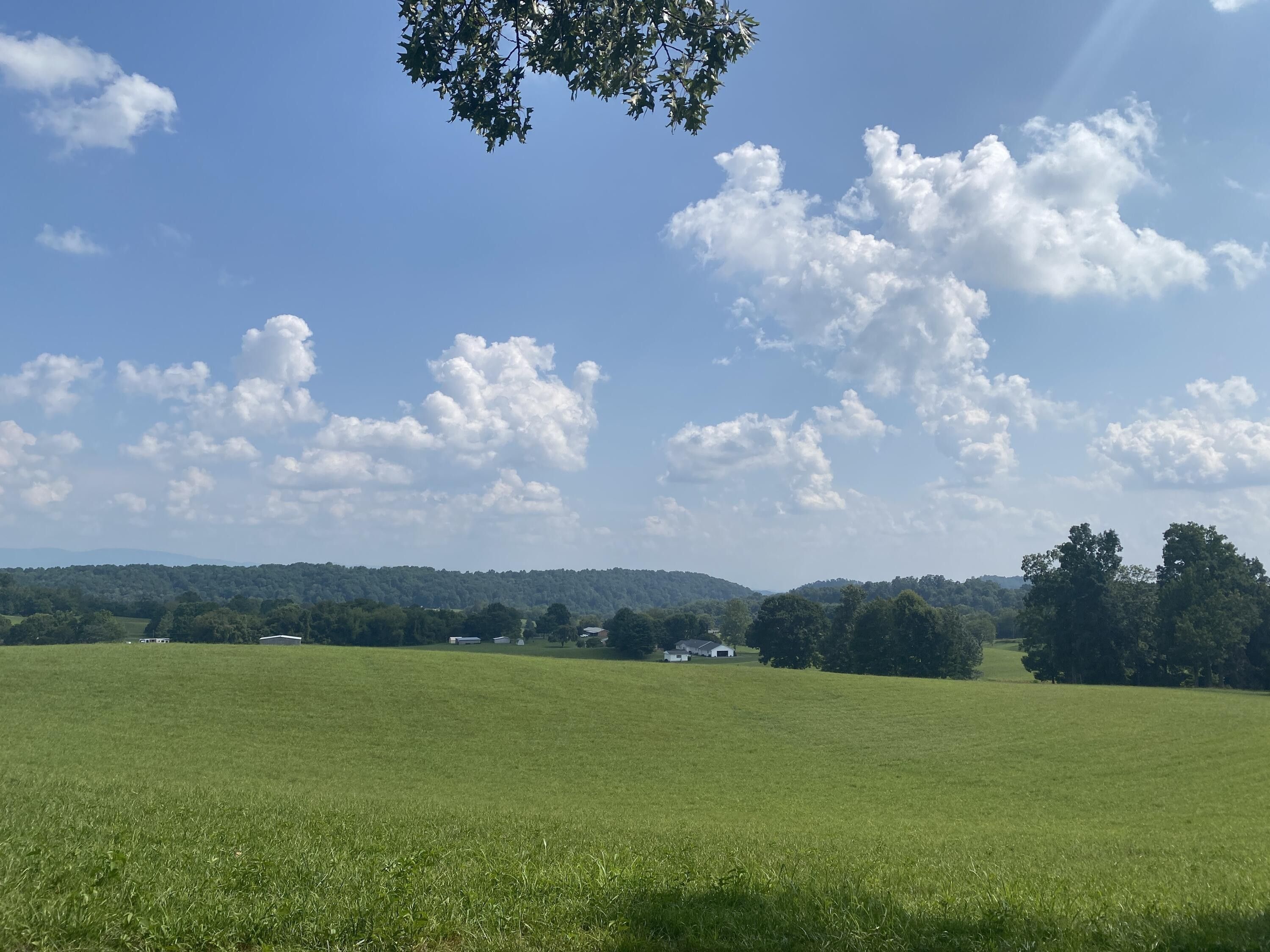 29.91 Acres, 00 Young Drive, Bristol, VA 24202 Land and Farm