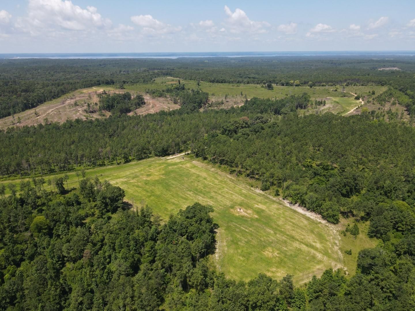 Cotton Hill Road, Fort Gaines, GA 39851 Land and Farm