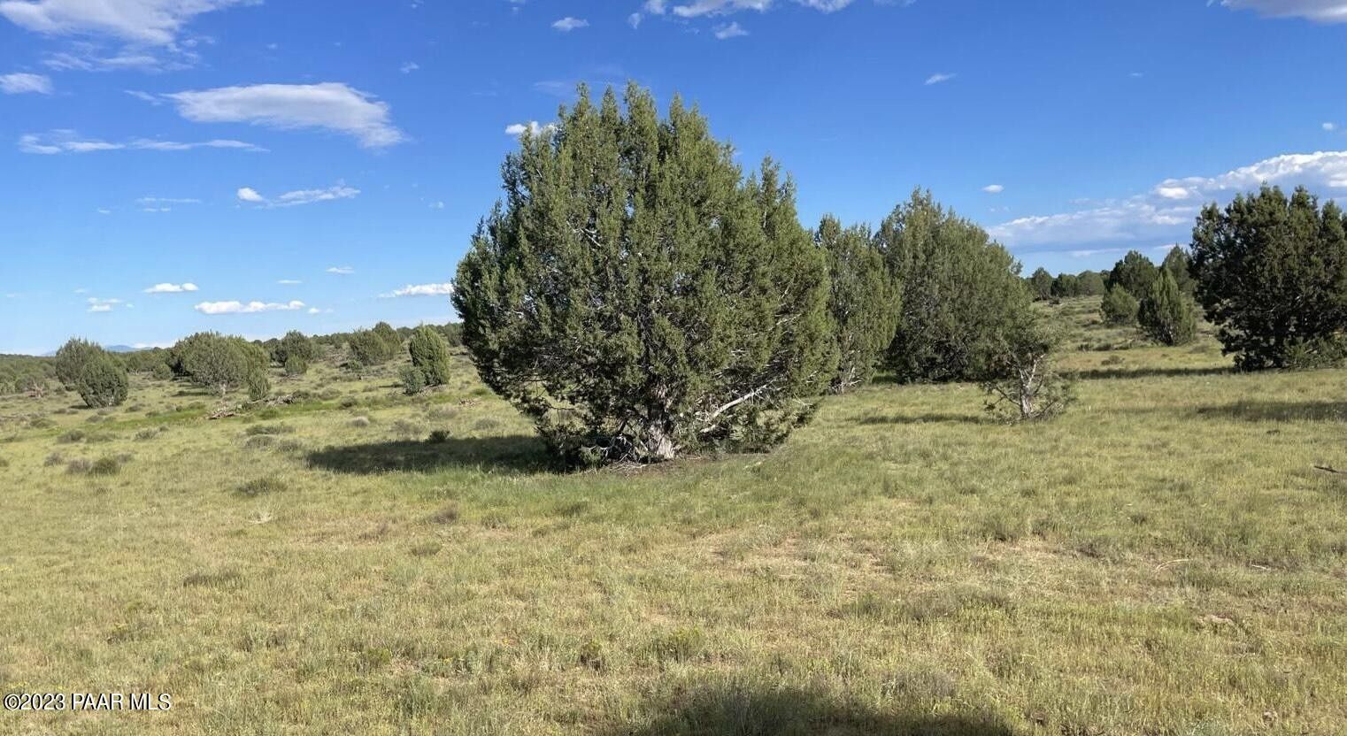 9.75 Acres, 886 SW Westwood, Williams, AZ 86046 Land and Farm