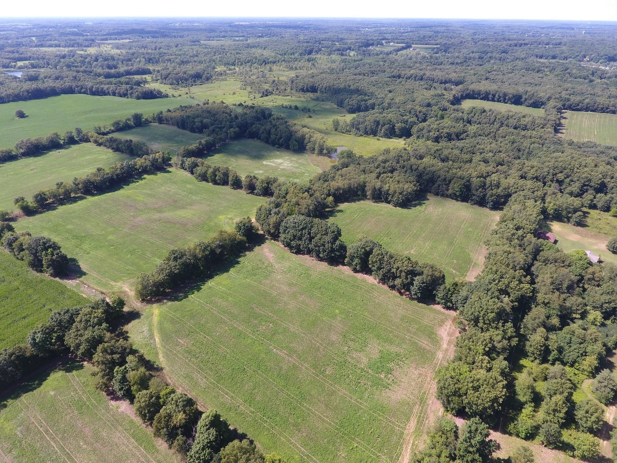 100 Acres, 13198 Howard Road, Concord, MI 49237 Land and Farm