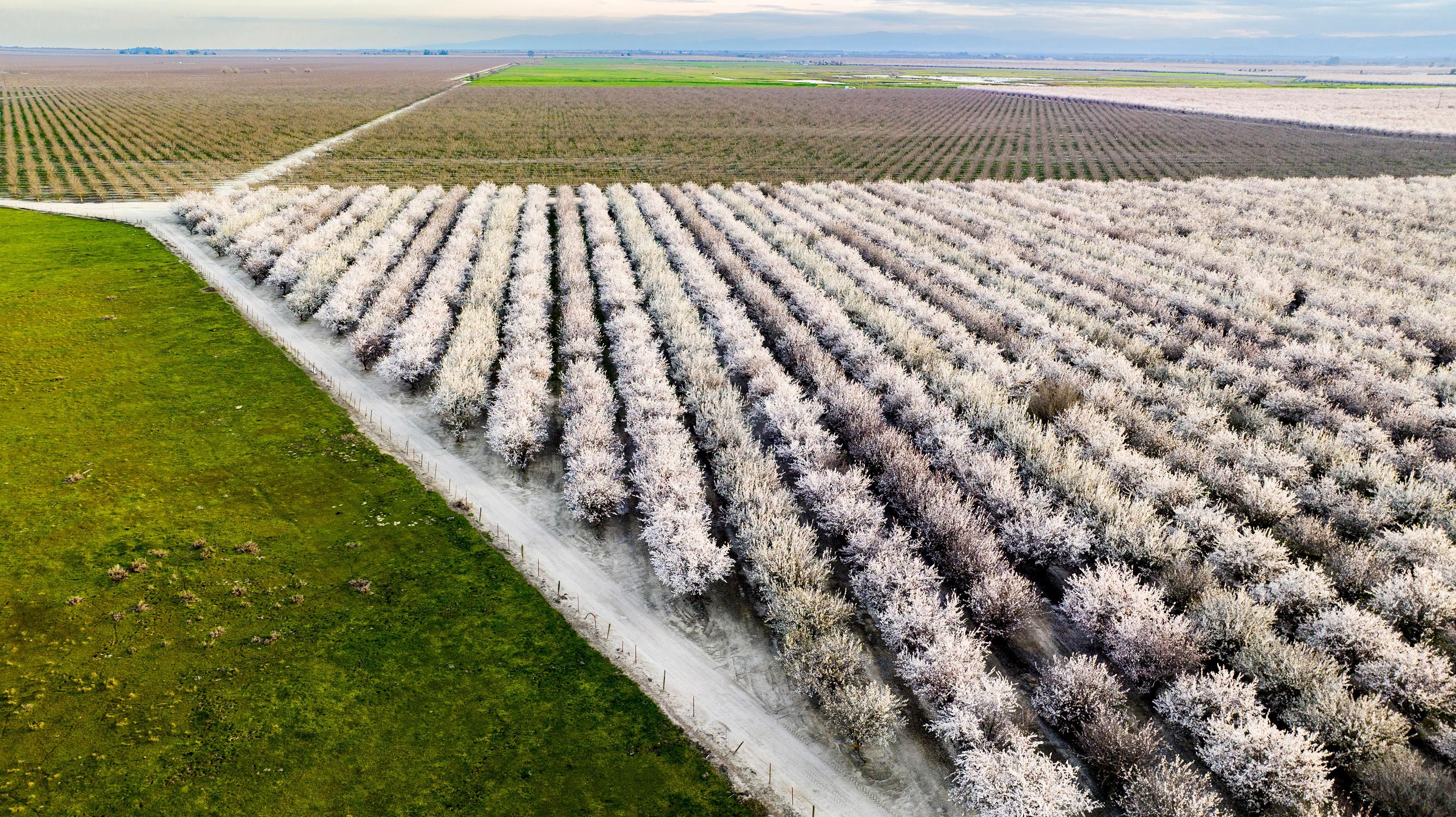 430.93 acres in Firebaugh, CA, 93622 Land and Farm