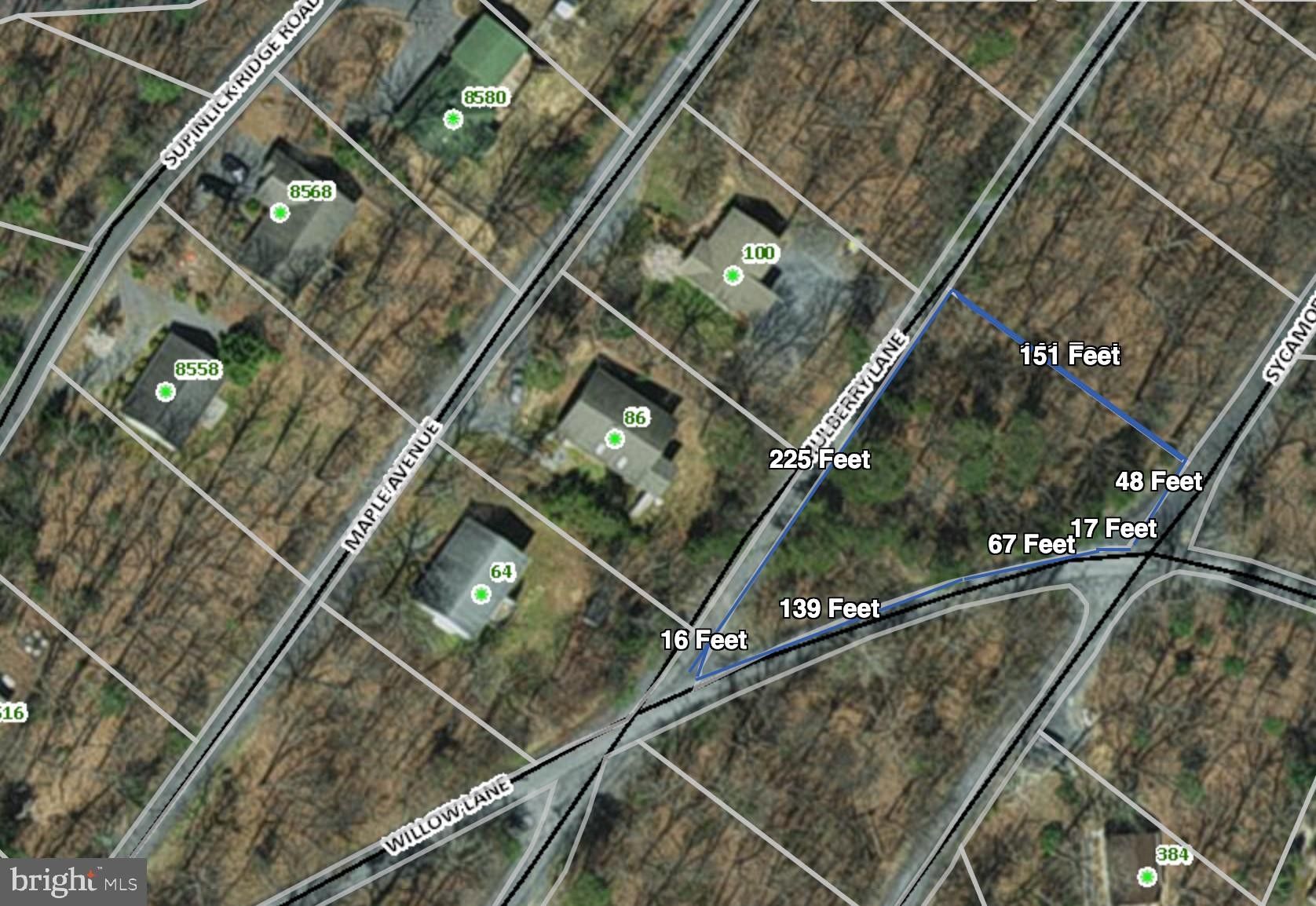 0.26 Acres, WILLOW LANE, Mount Jackson, VA 22842 Land and Farm