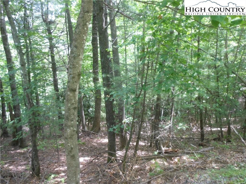 3.33 Acres, Lot 28 Moonbeam Lane, Deep Gap, NC 28618 Land and Farm