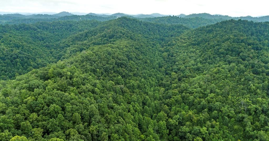 196 Acres, 00 Potts Branch, Floyd, KY 41653 Land and Farm