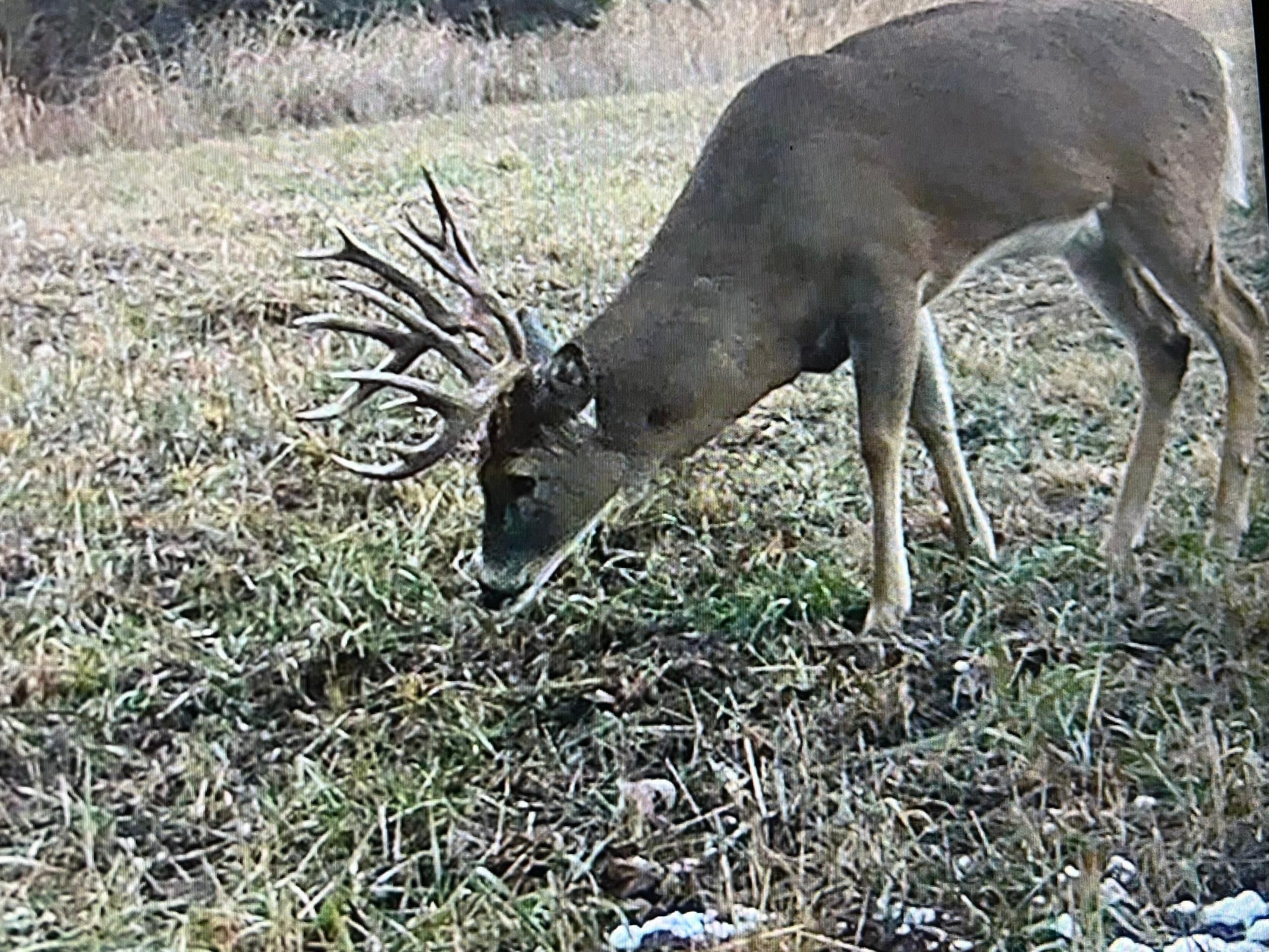 1,260 Acres, 4 RD, Longton, KS 67352 Land and Farm