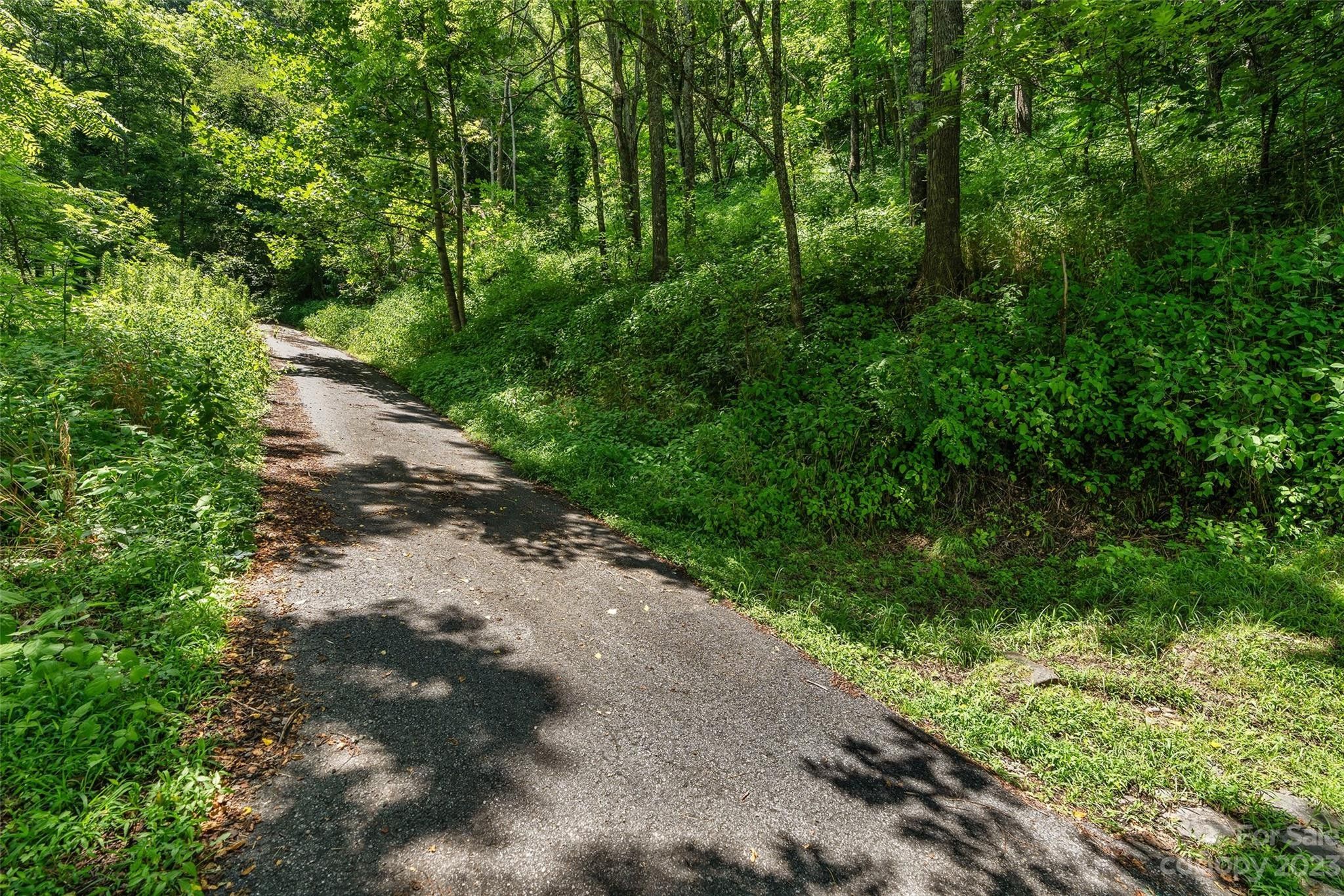 6.19 Acres, 000 Cub Trail, Maggie Valley, NC 28751 Land and Farm