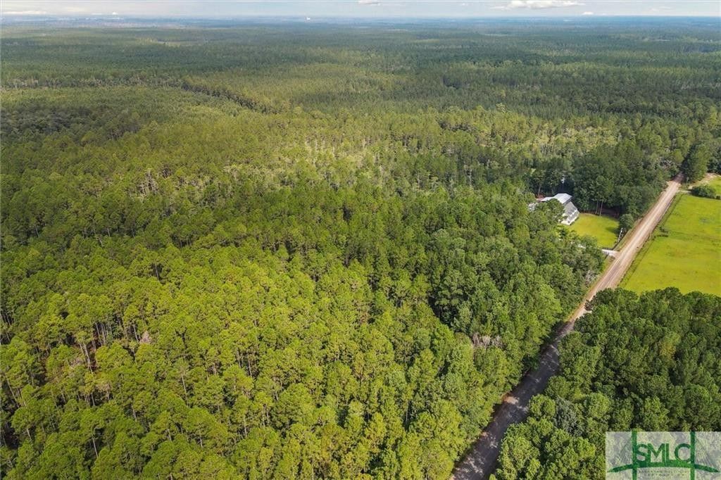 9.38 Acres, Lot 4 Buie Driggers Road, Brooklet, GA 30415 Land and Farm