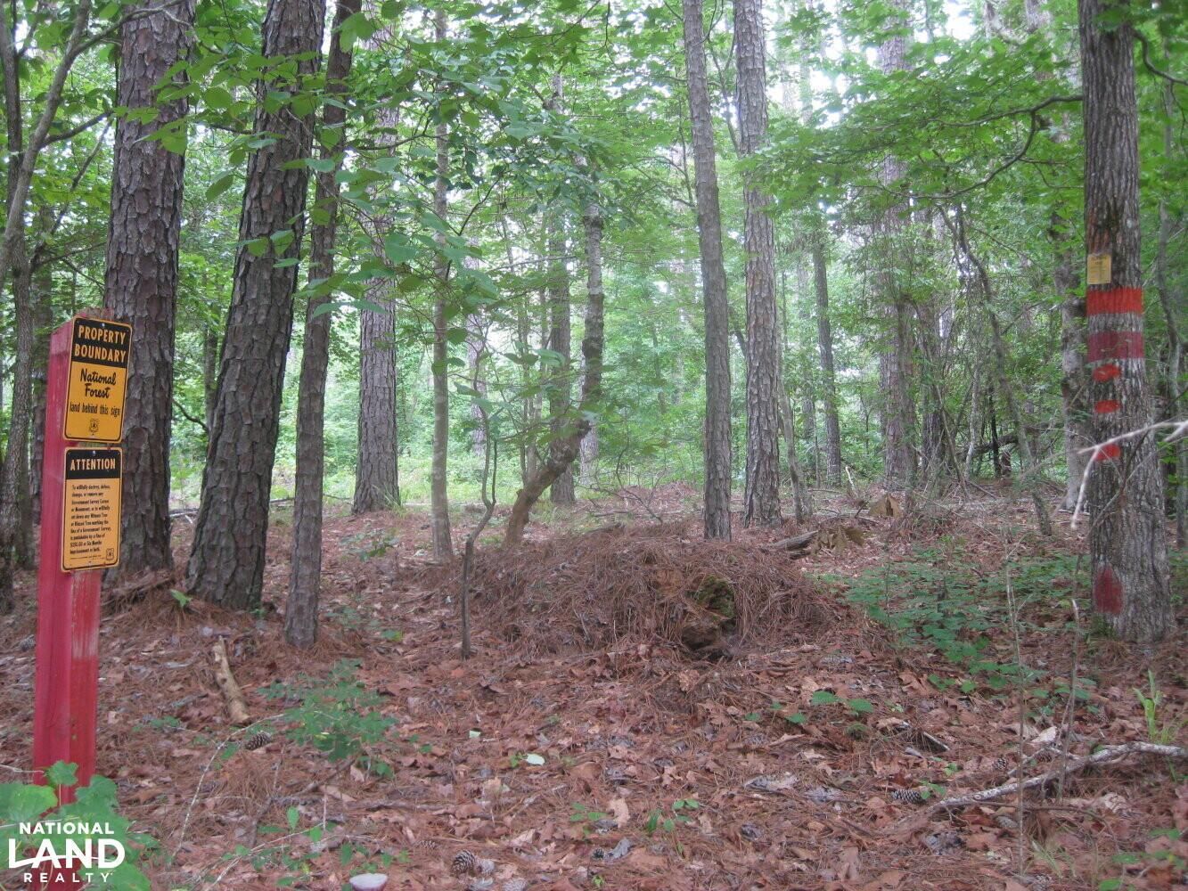 off Ebenezer Road, Whitmire, SC 29178 Land and Farm