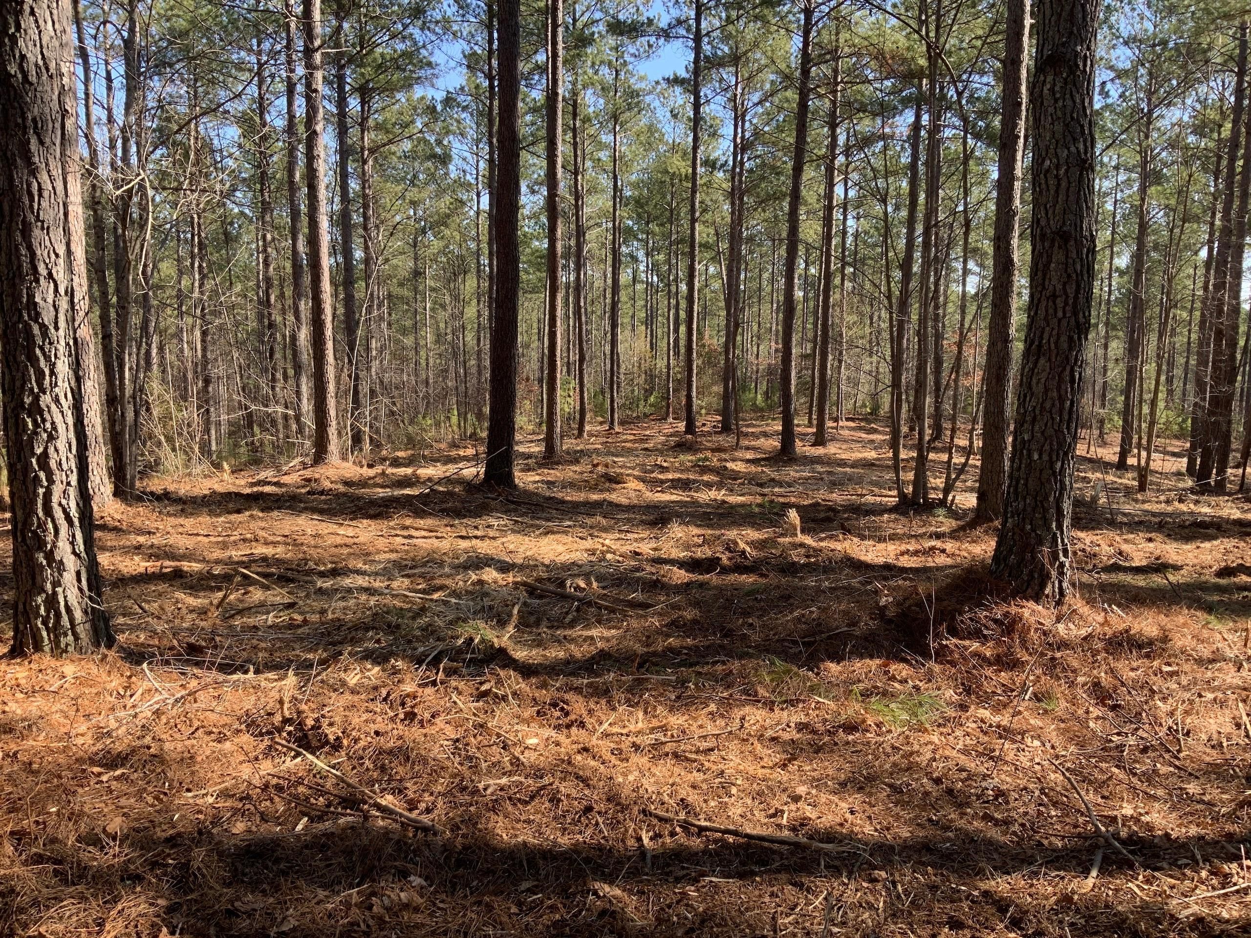 22 Acres, Connelly Springs Rd, LotWP001, Granite Falls, NC 28630