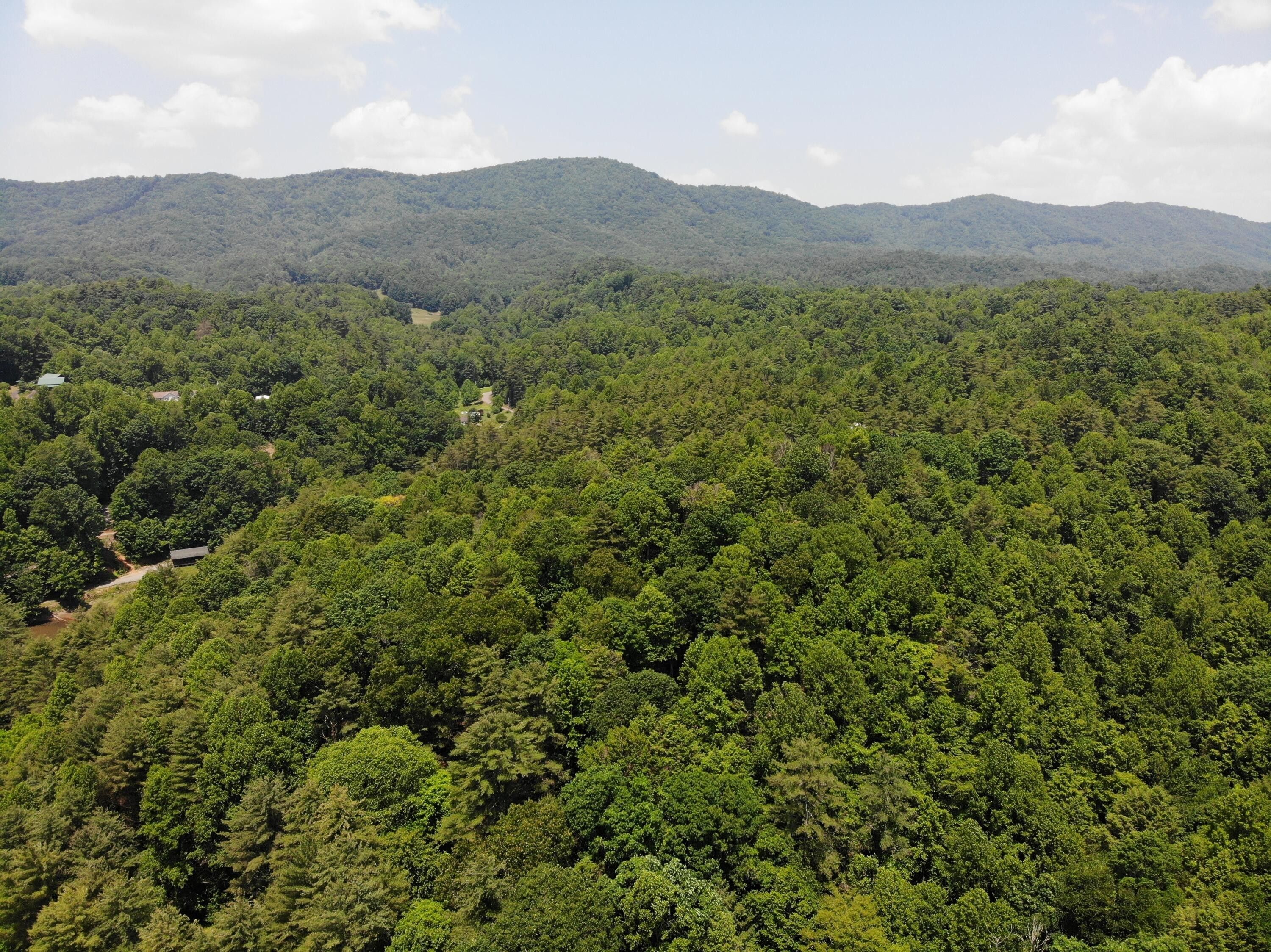 1.5 Acres, Lot 21 Fox Glen Way, Laurel Bloomery, TN 37680 Land and Farm