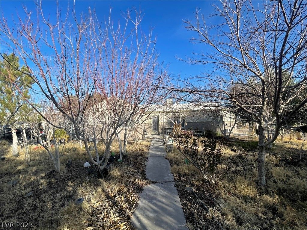 2.5 Acres, 2329 N Tamarack Road, Amargosa Valley, NV 89020 Land and Farm