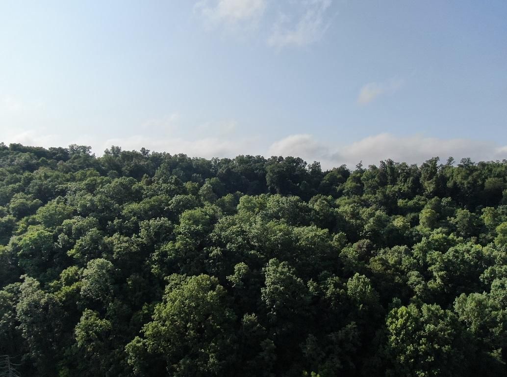 Little Warrensburg Road, Midway, TN 37809 MLS 4109504411 Land and