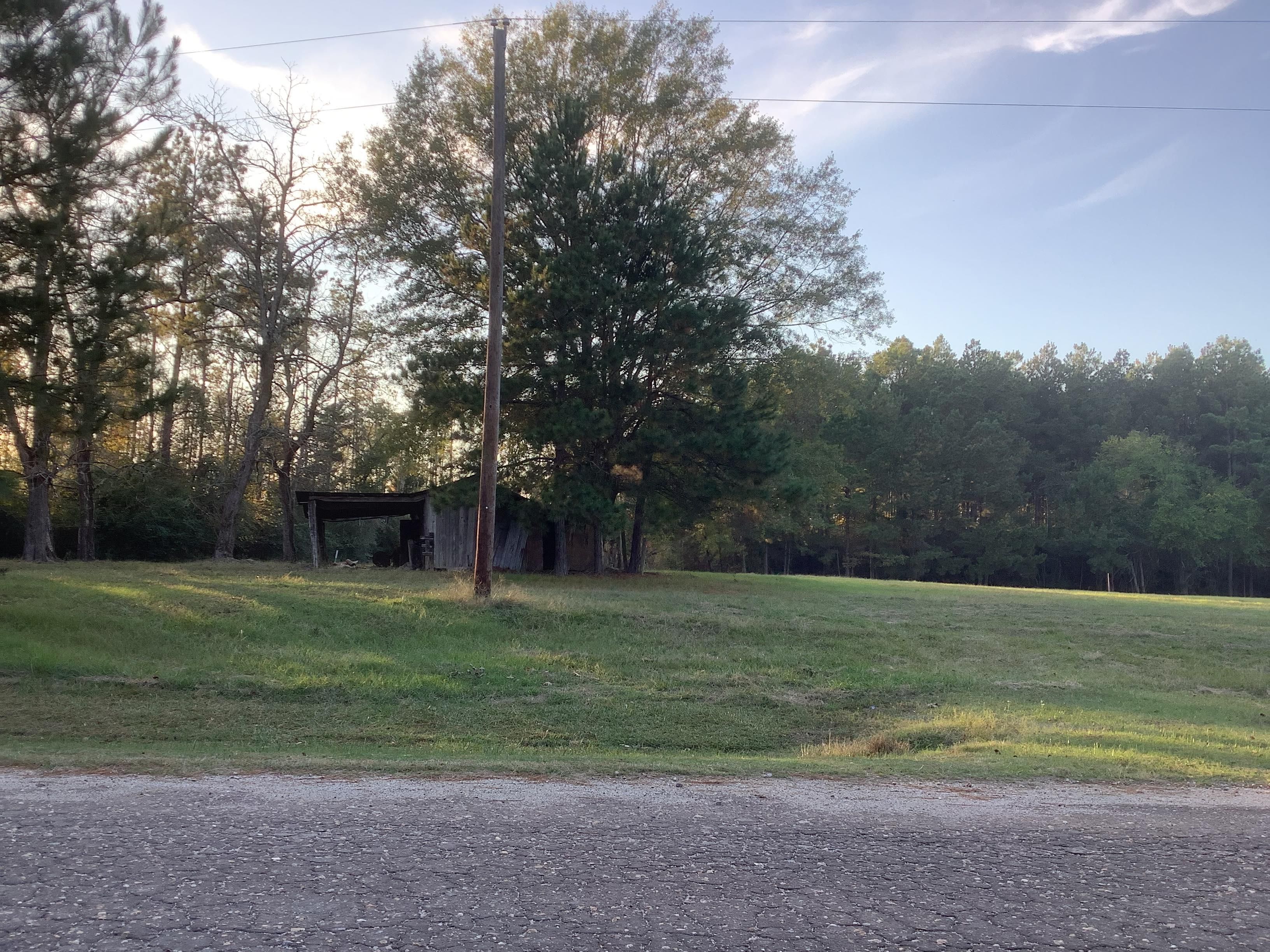 1596 County Road 425, Carthage, TX 75974 MLS 20227101 Land and Farm