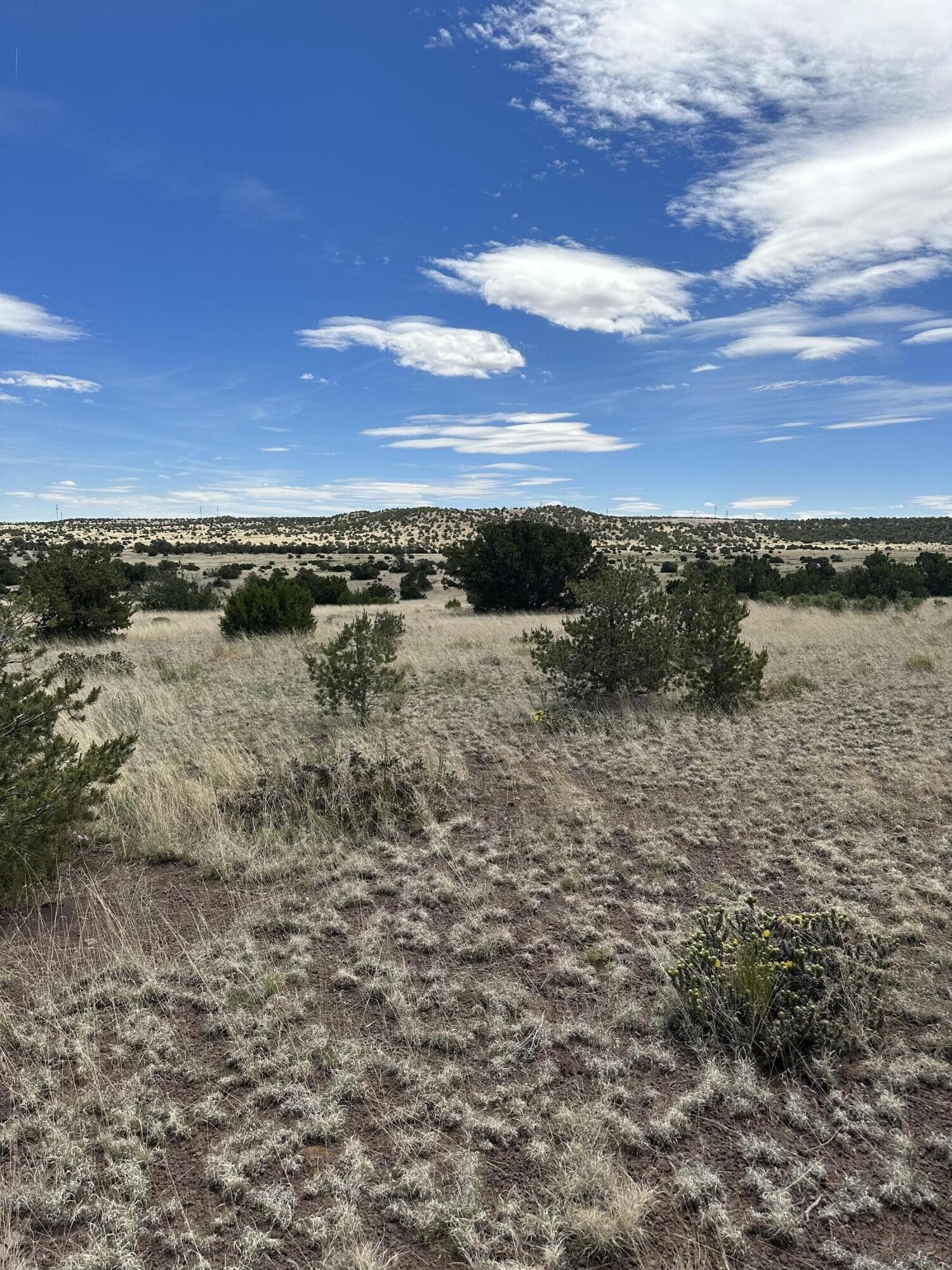 40 Acres, Off Powerline Road, Quemado, NM 87829 Land and Farm
