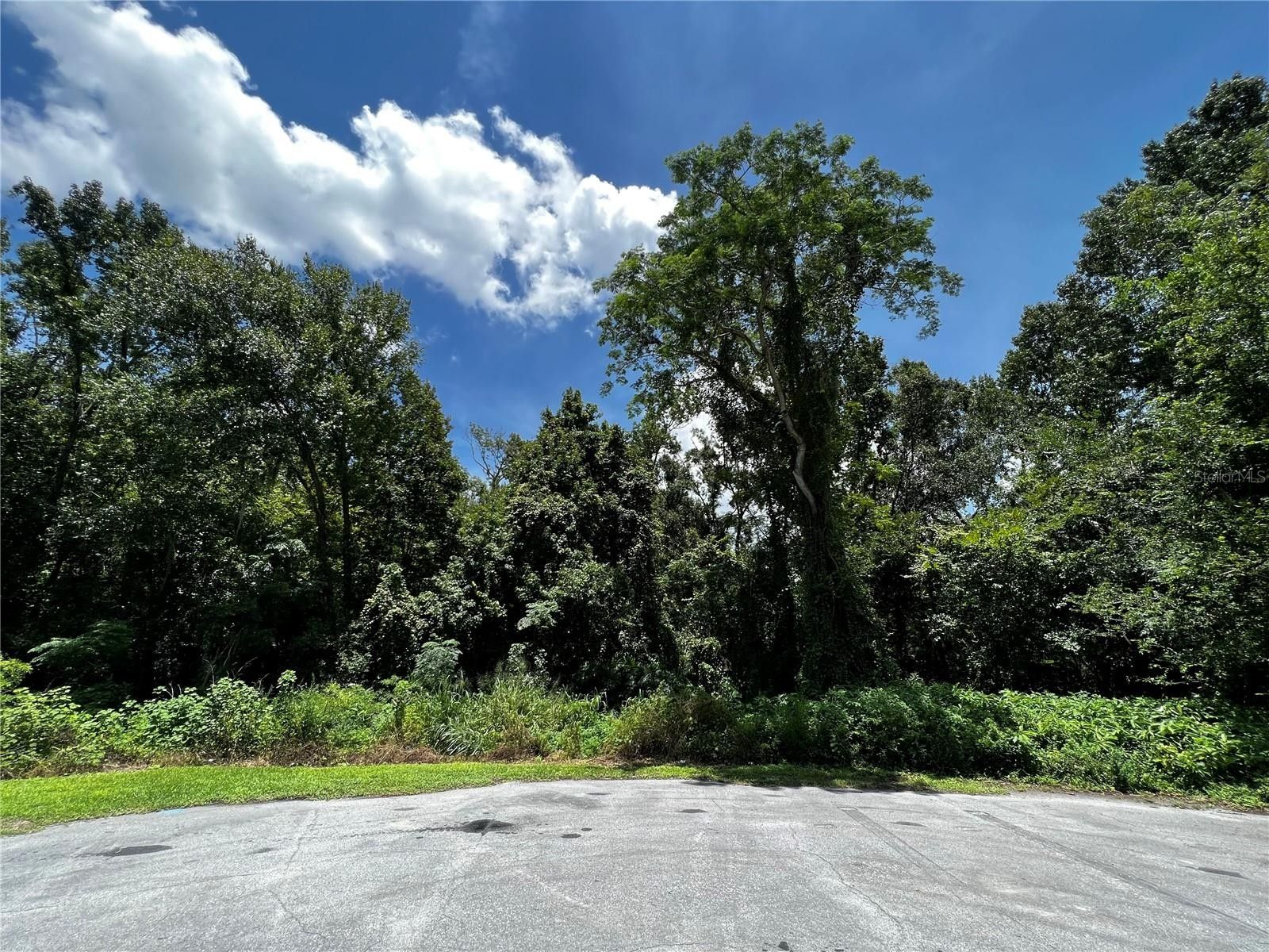 0.35 Acres, MAPLE HILL COURT, Lakeland, FL 33811 Land and Farm